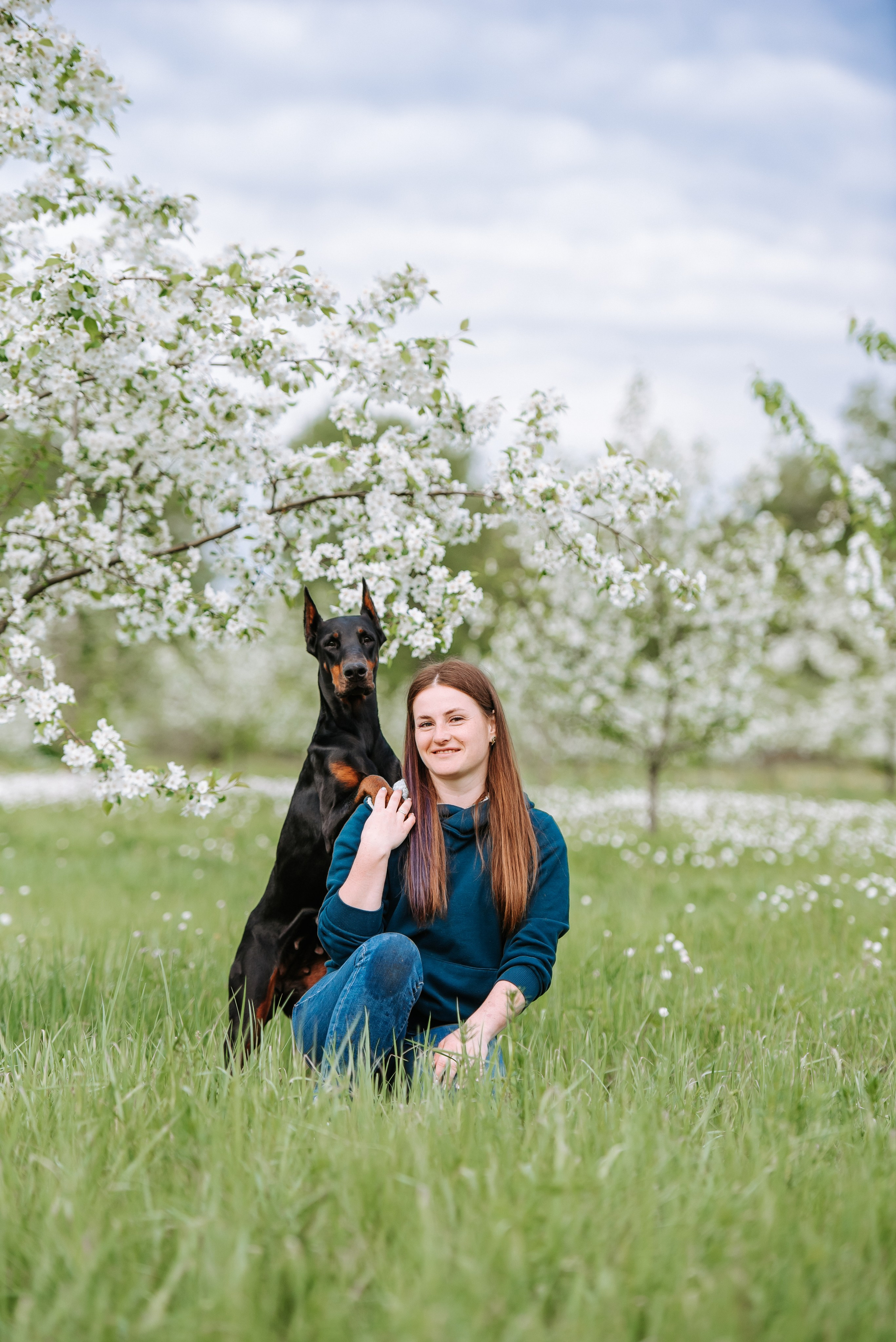 Цветение с доберманами. Фотограф Диана Оленина Красноярск / Братск