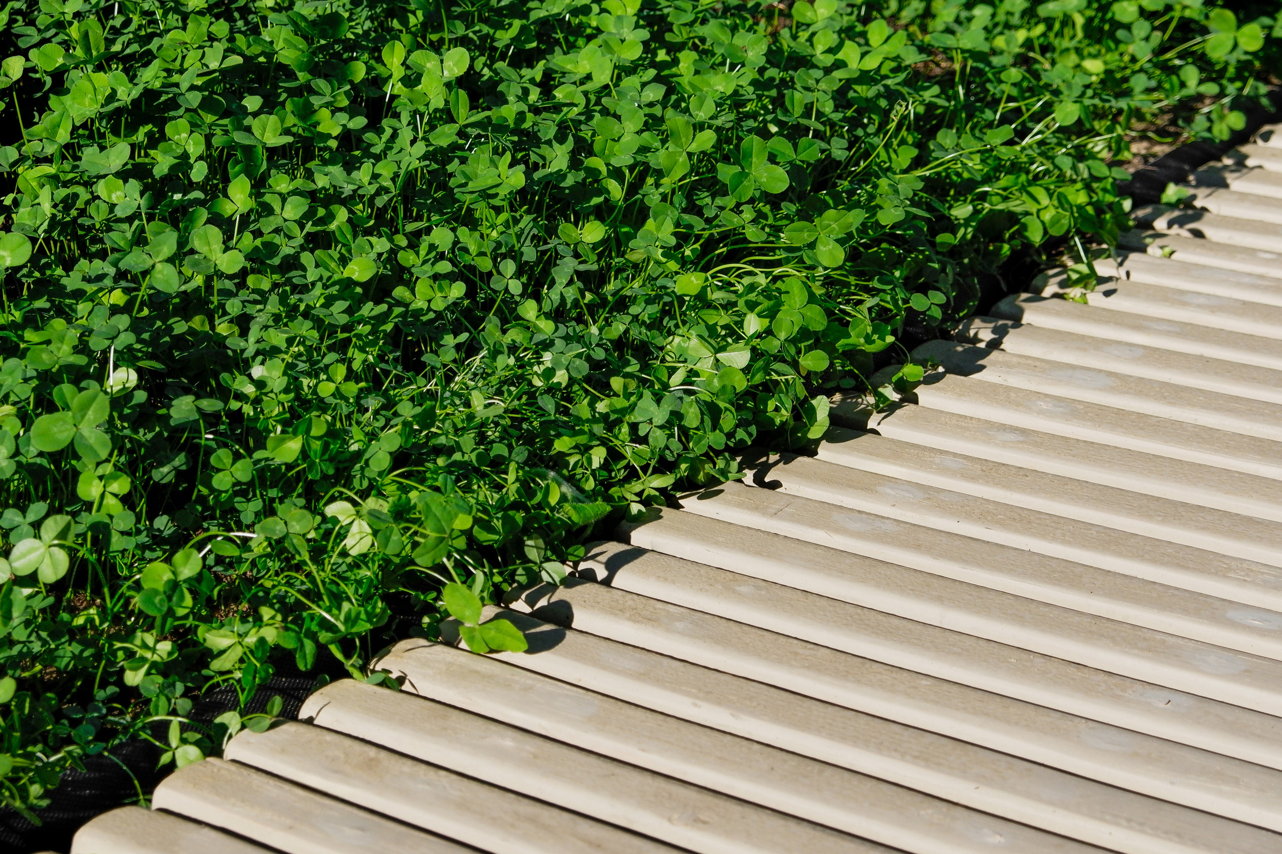 Жилой комплекс «Голландия». Михаил Мулач | Архитектурный фотограф