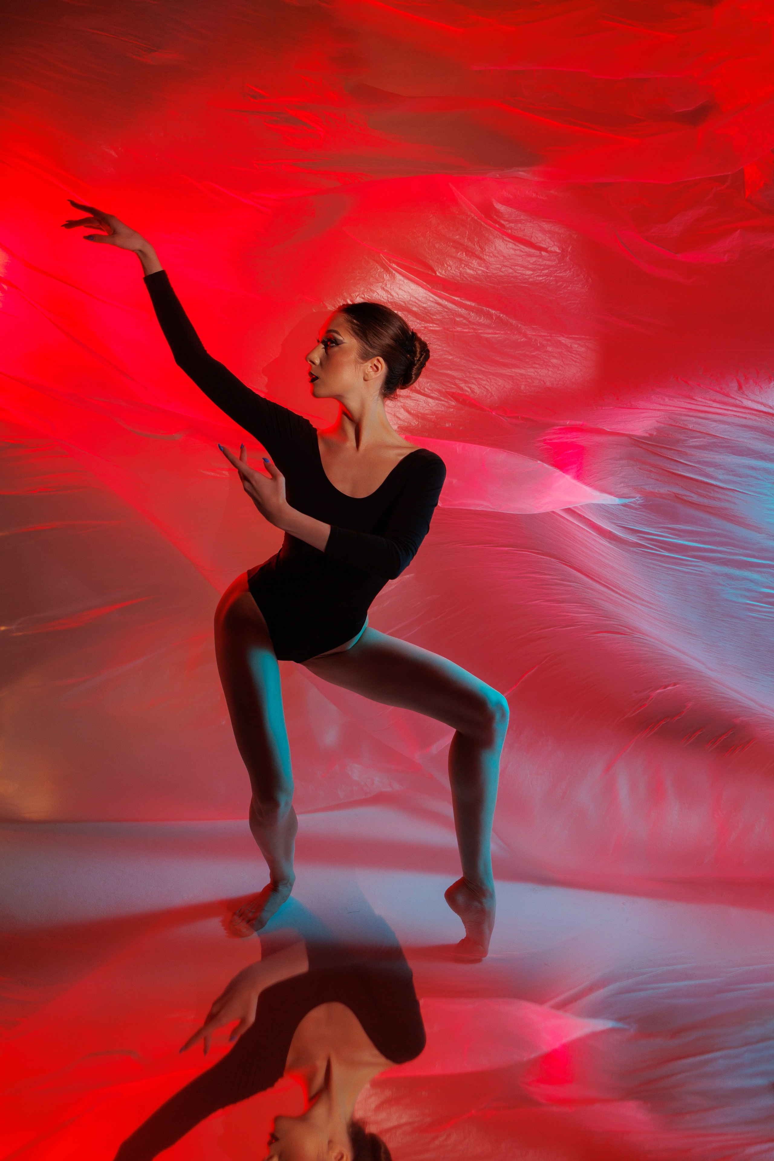 Черный лебедь. Марковкина КрисТина