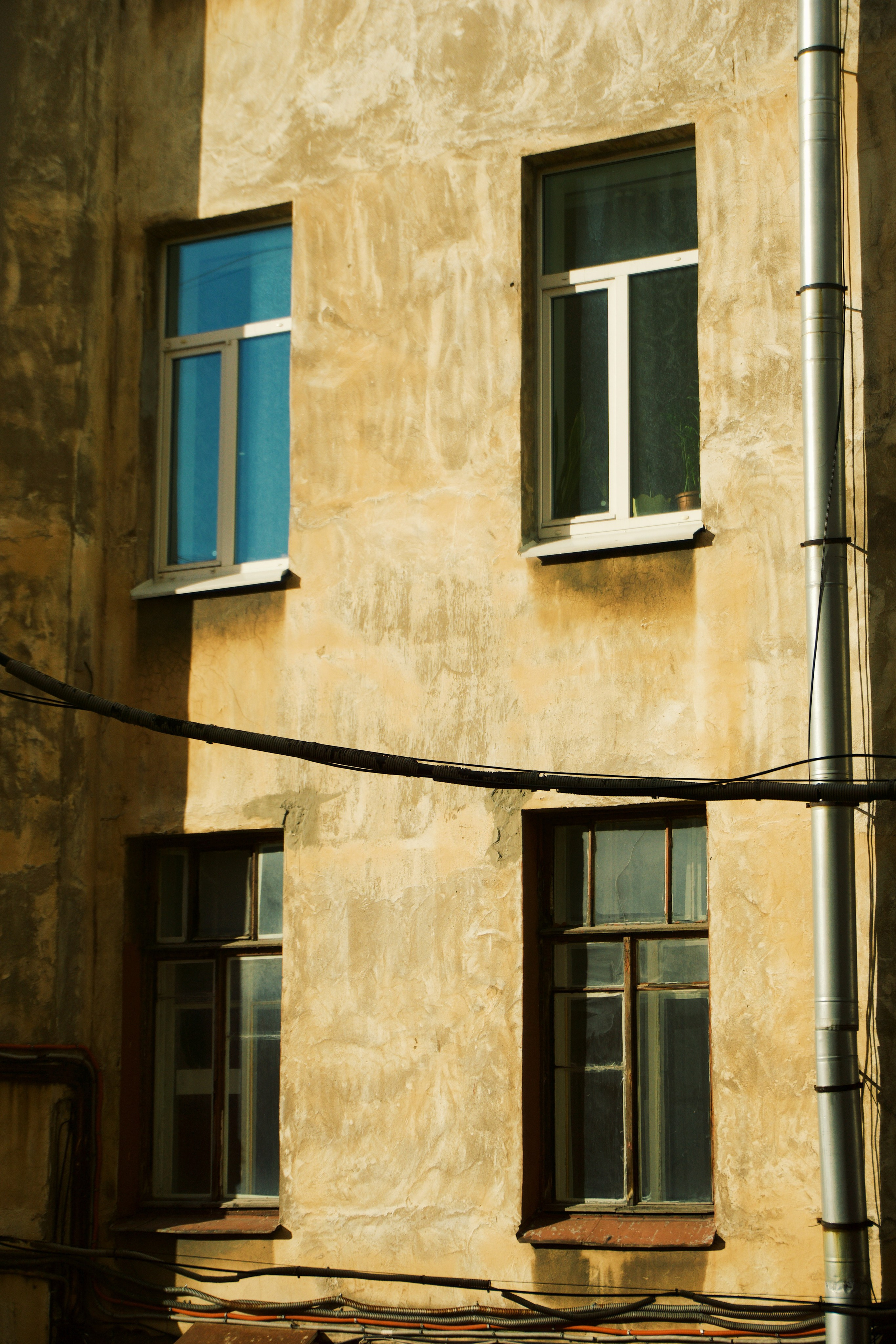 Петербург. Татьян гертье