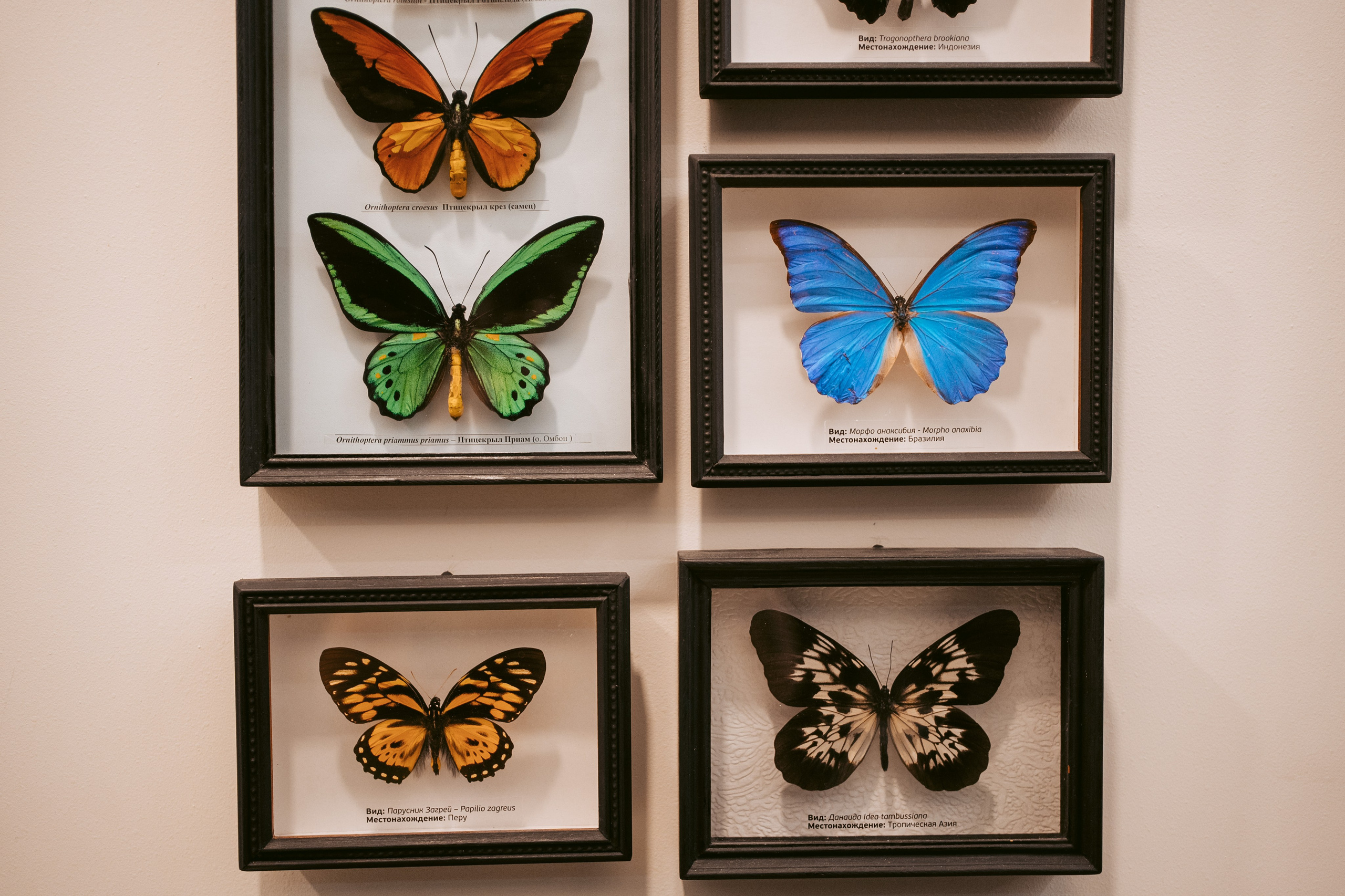 Ночь искусств 2023. Фотограф на любое событие в Кемерово