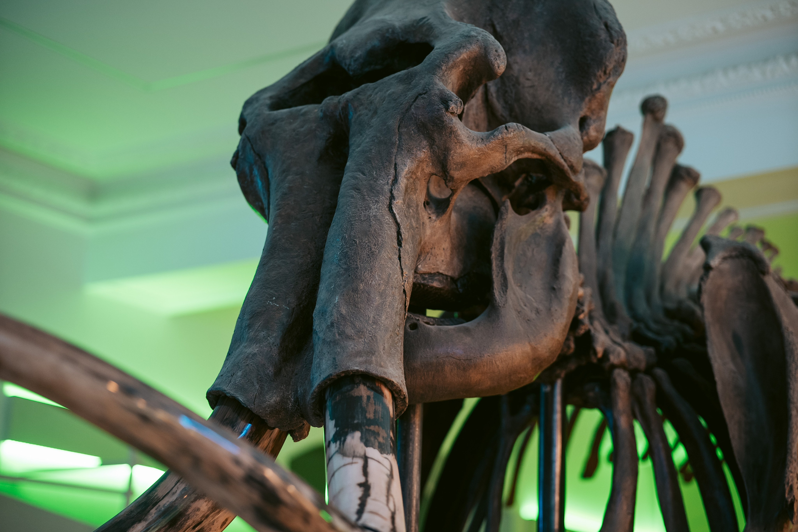 Ночь искусств 2023. Фотограф на любое событие в Кемерово