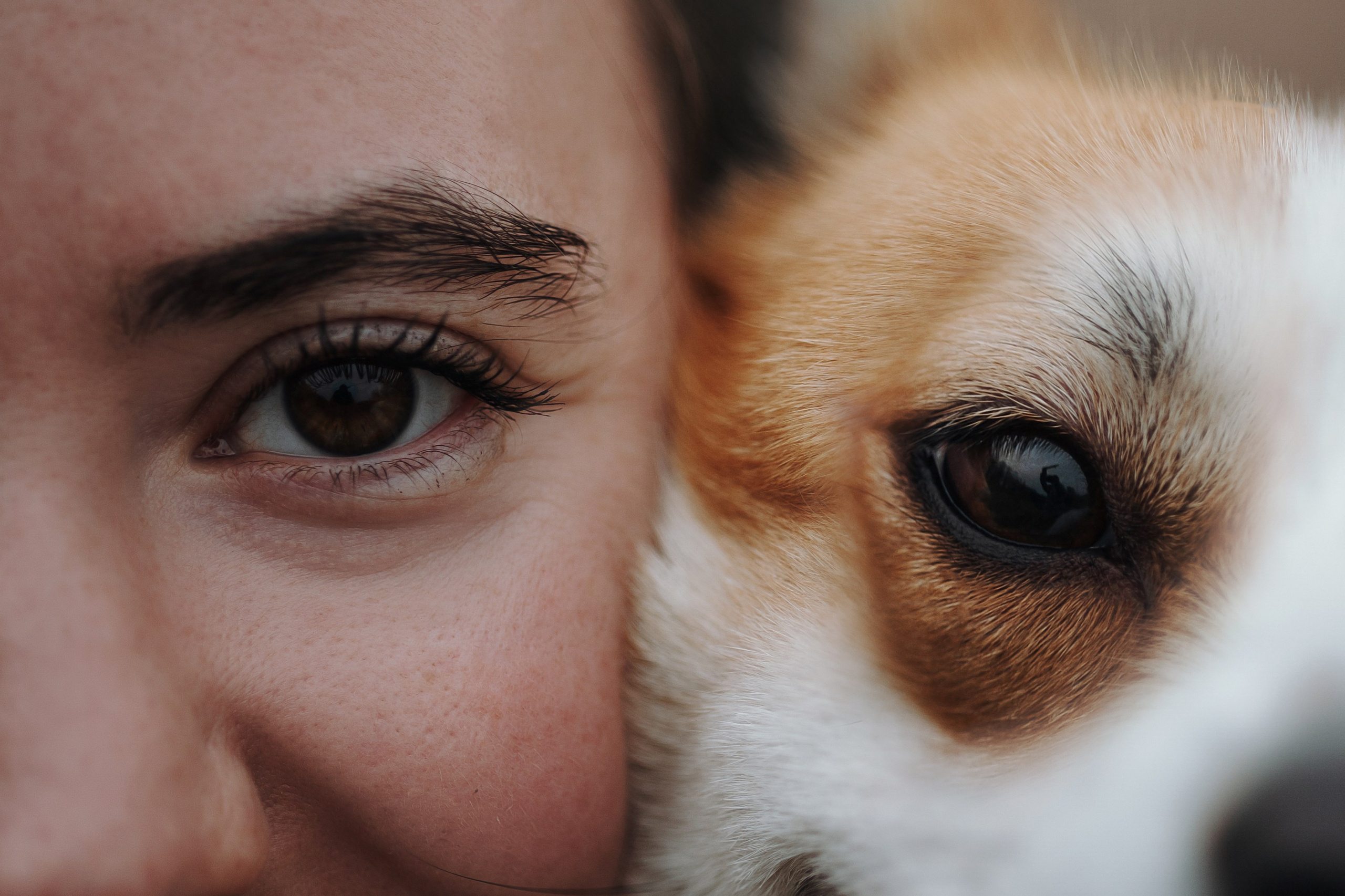 Юля и Терри. Фотограф — Анималист | Санкт-Петербург