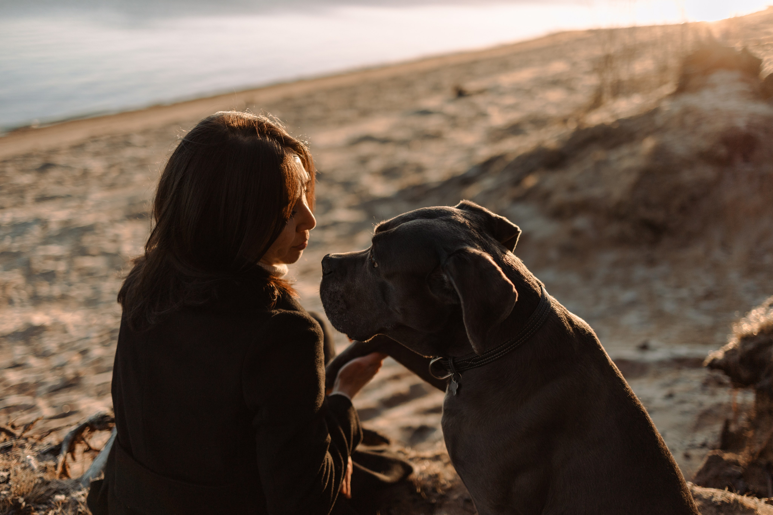 Анна и Лана. Фотограф — Анималист | Санкт-Петербург