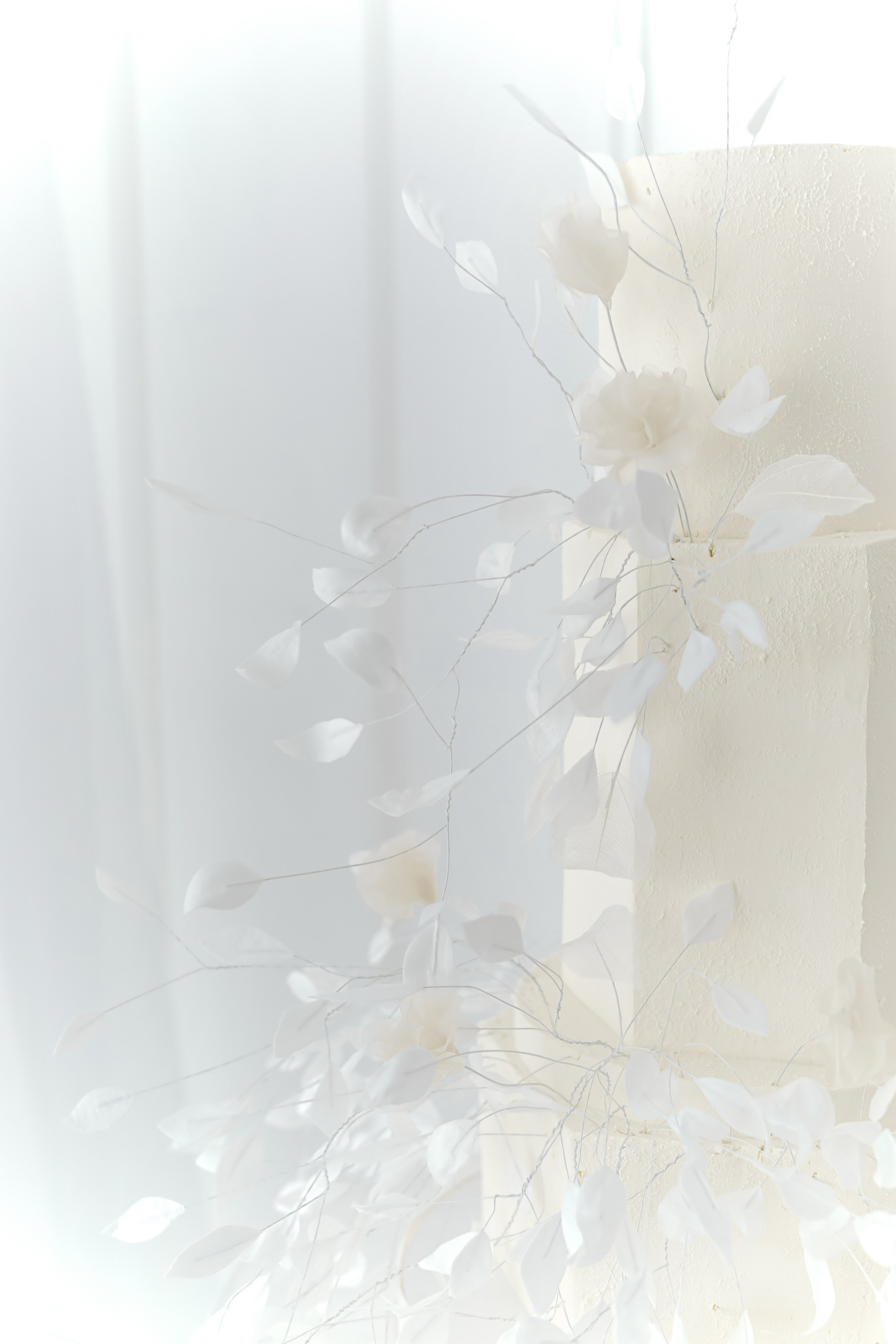 Виктория и Максим.Краснодар. Фотограф Славянск на кубани Краснодар