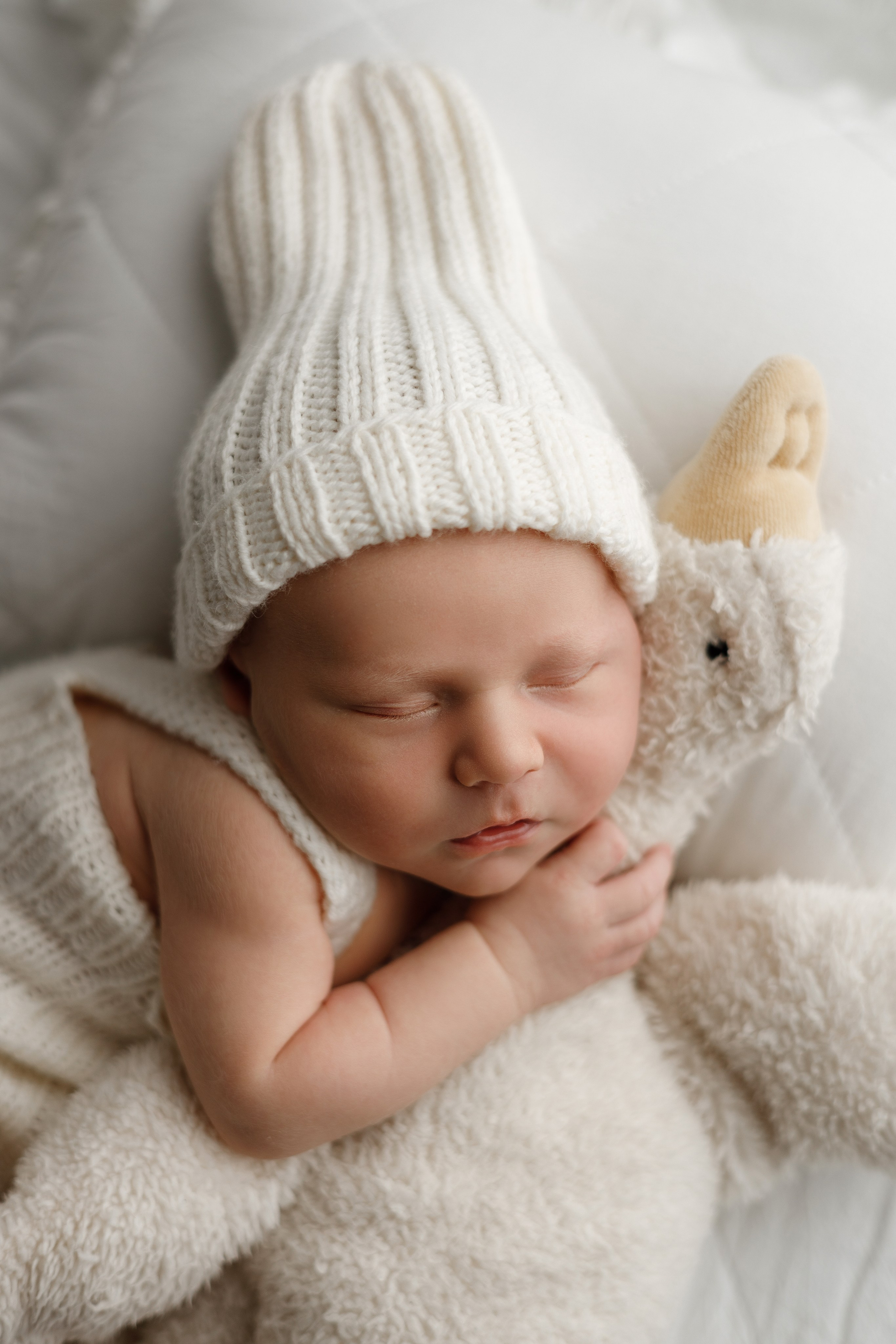 Лев пакет Малыш и семья с фотокнигой. Фотограф новорожденных ньюборн newborn в Краснодаре Алена Гребенькова