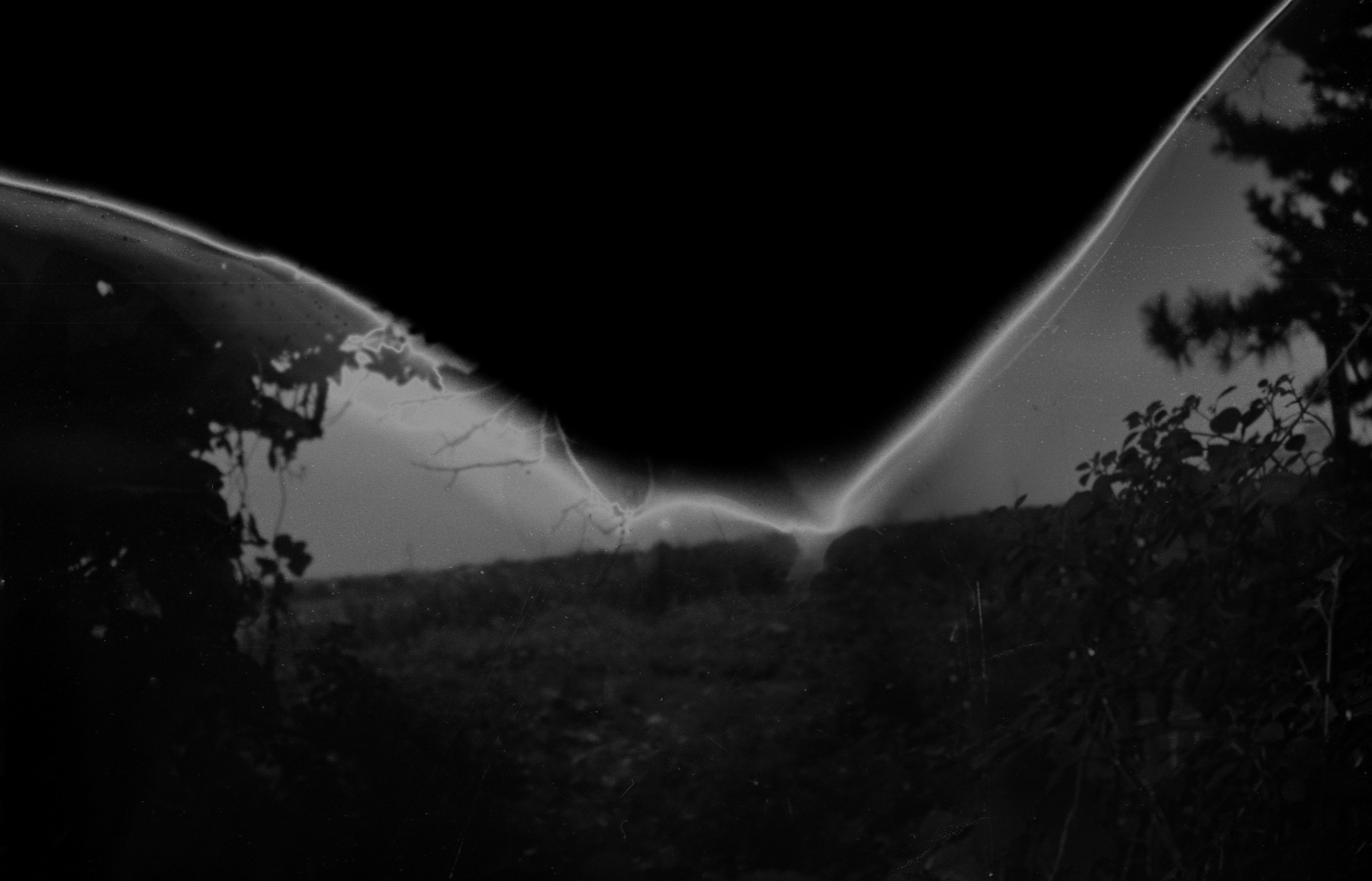 ИНТЕРВЬЮ С АВТОРАМИ: Ёсикацу Фудзии. Самоорганизация Низина