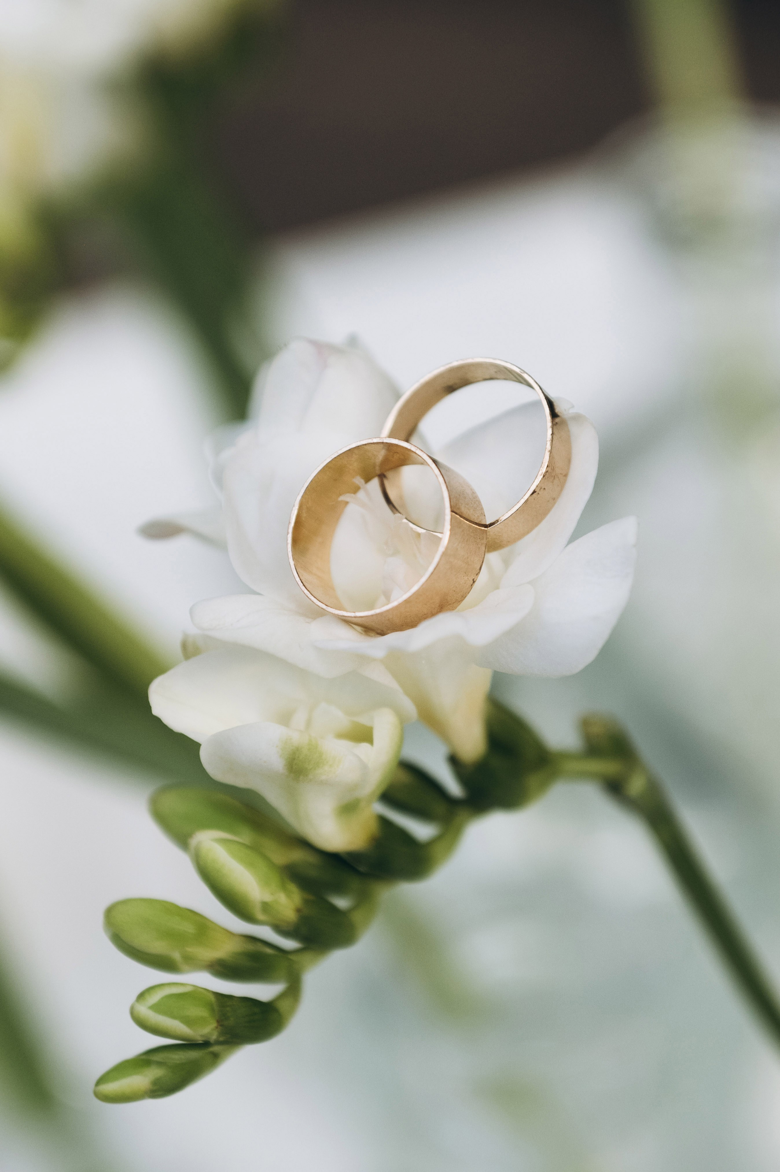 16.03.25 Михаил & Анастасия. Свадебный и семейный фотограф в Новосибирске Дарья Кель