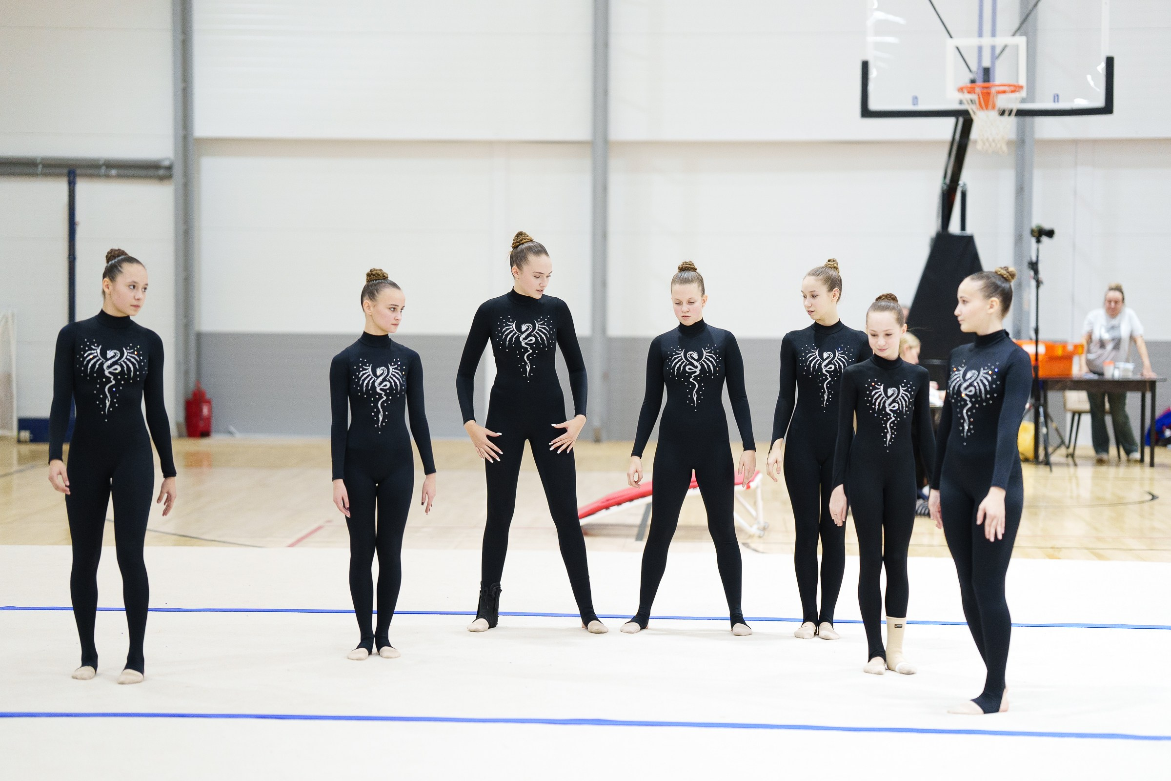 Гимнастика. Фотограф Москва