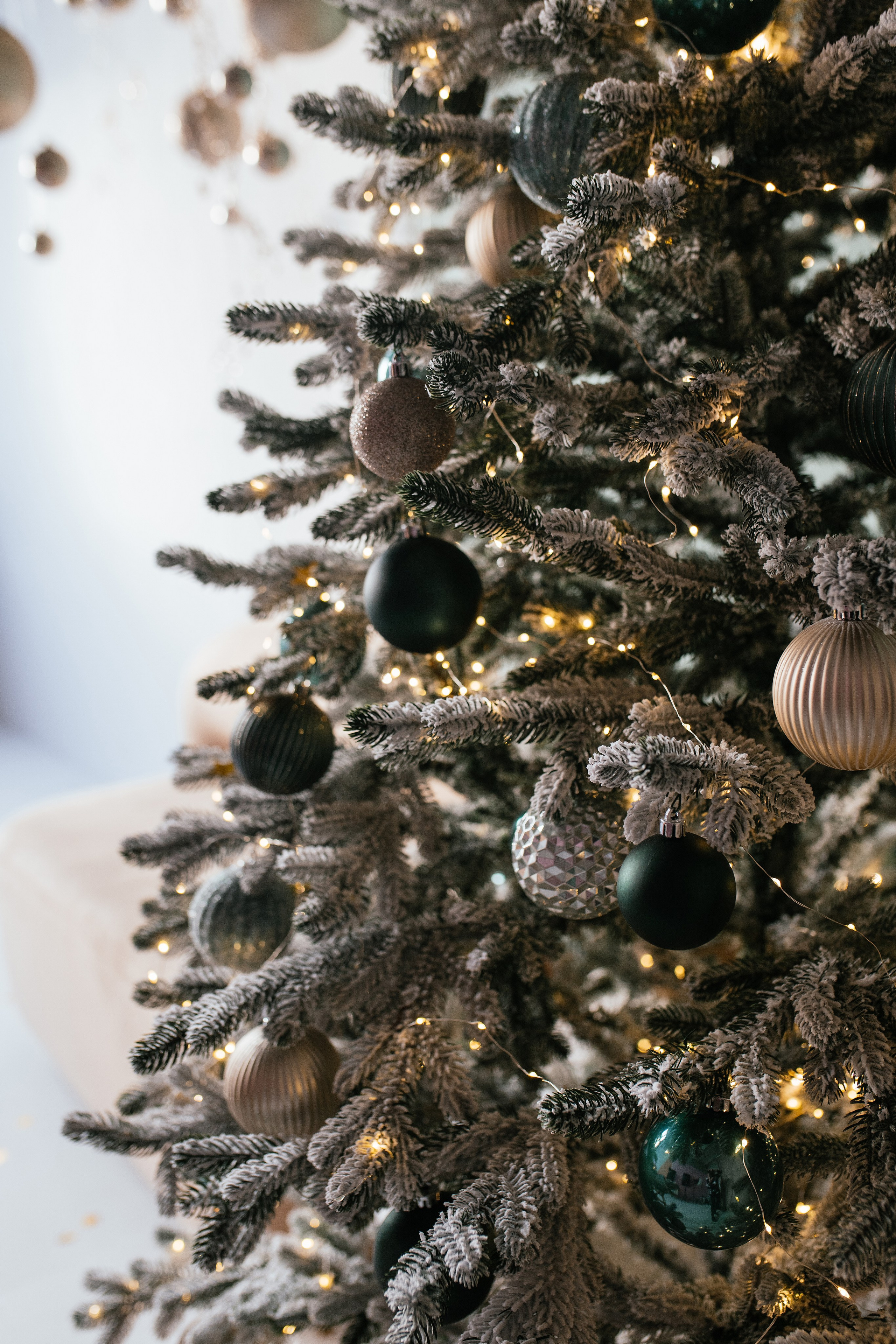 Олеся и Платон. Свадебный, семейный фотограф в Рязани Лена Брант