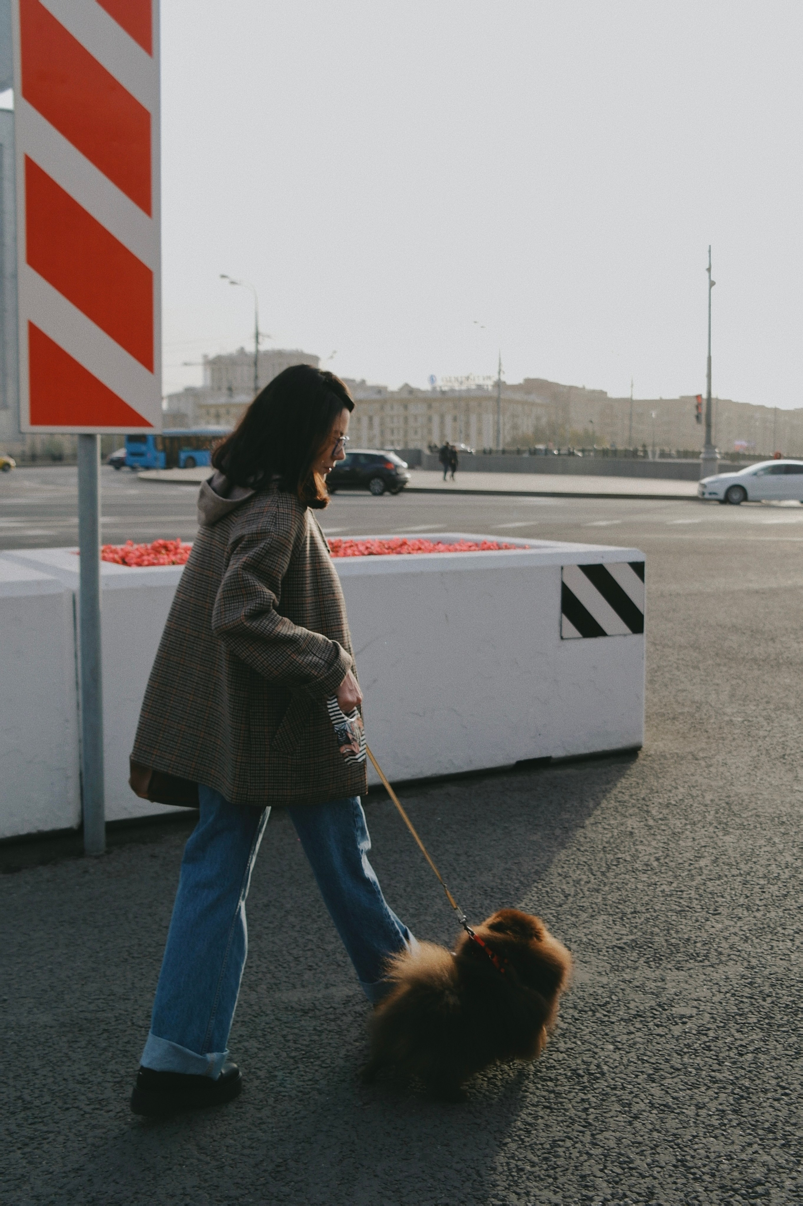 Питомцы. Татьян гертье