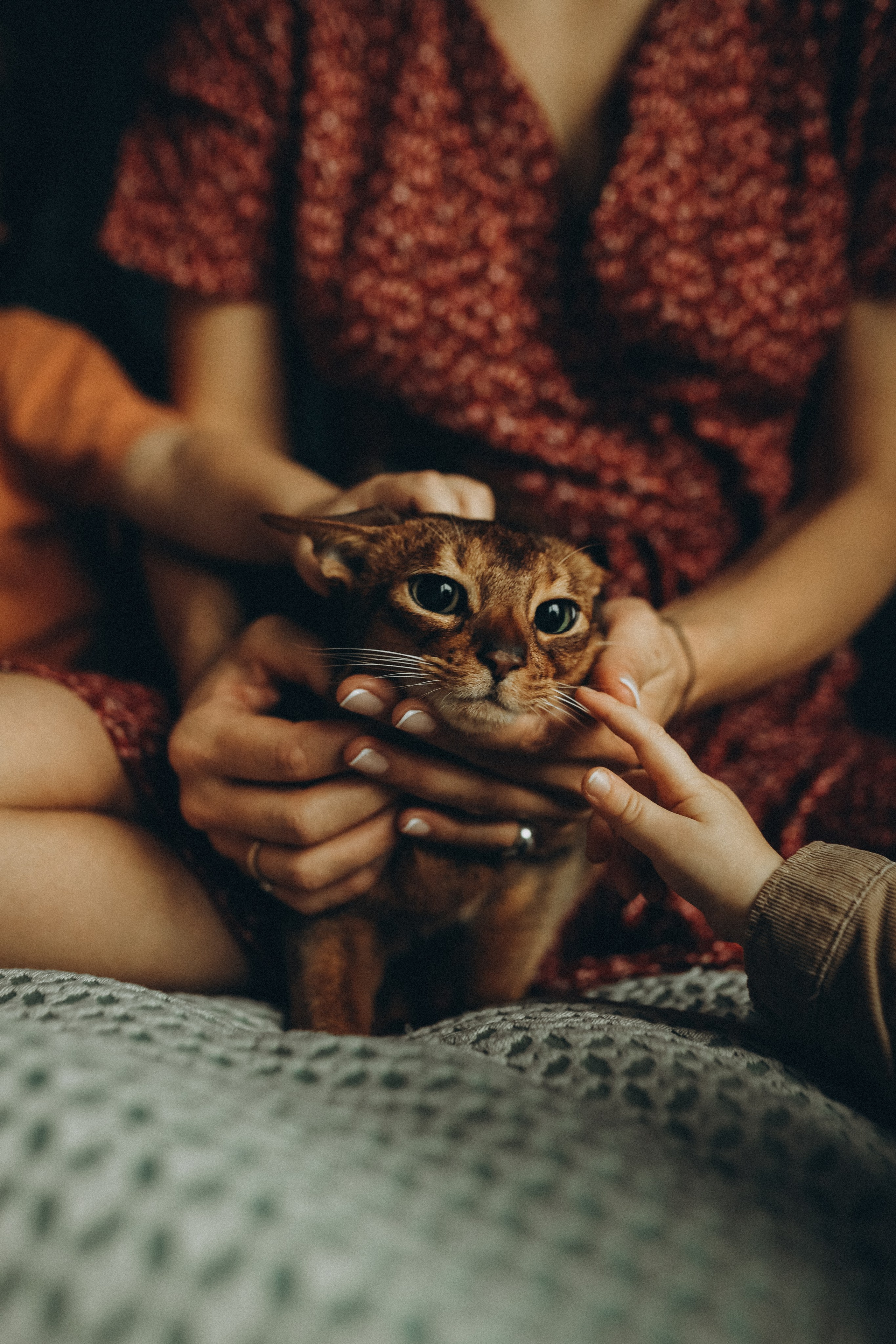 Один день дома. Семейный и детский фотограф в Москве Анастасия Меликова