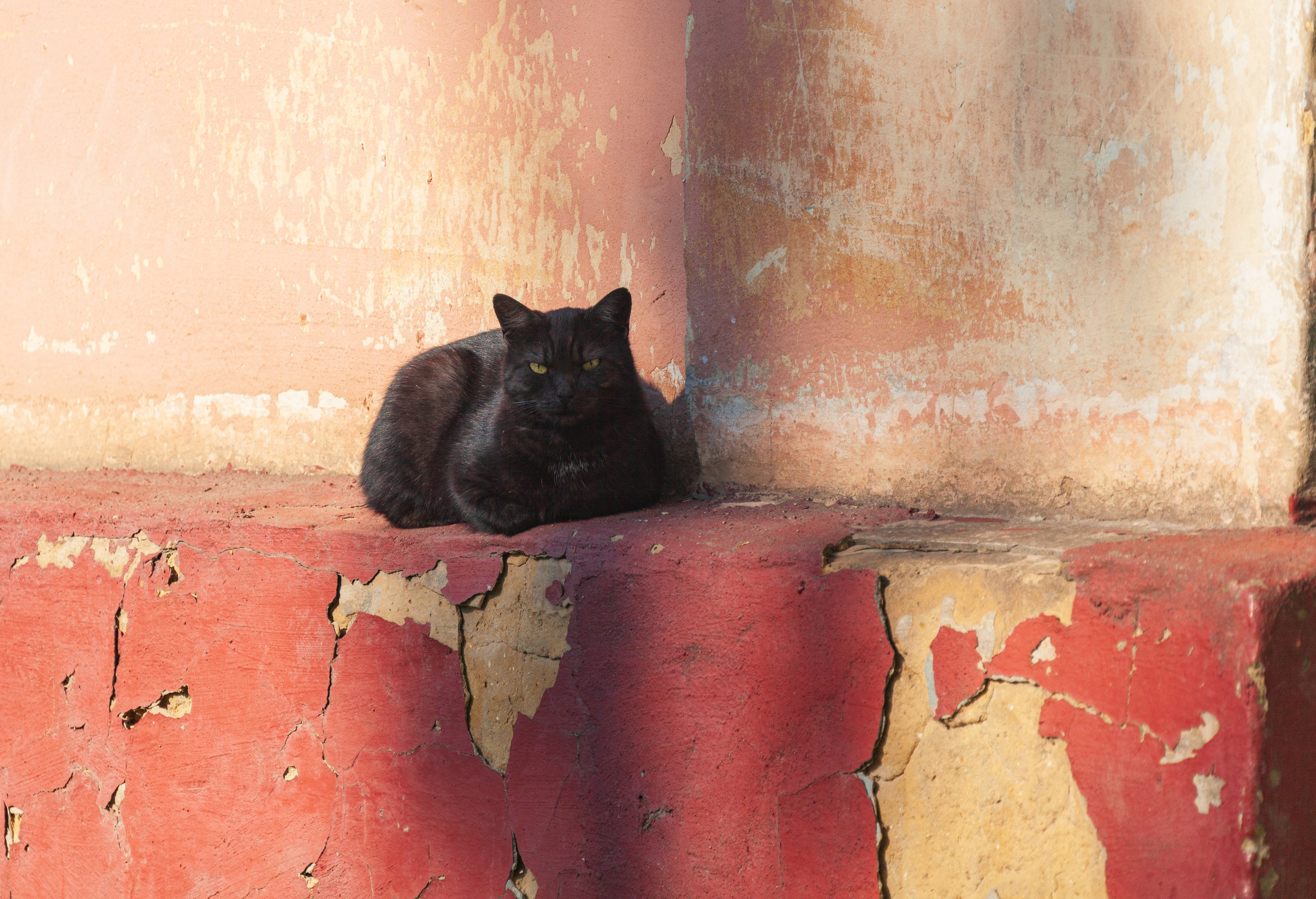 Тропинки детства. Фотохудожник Артём Парамонов