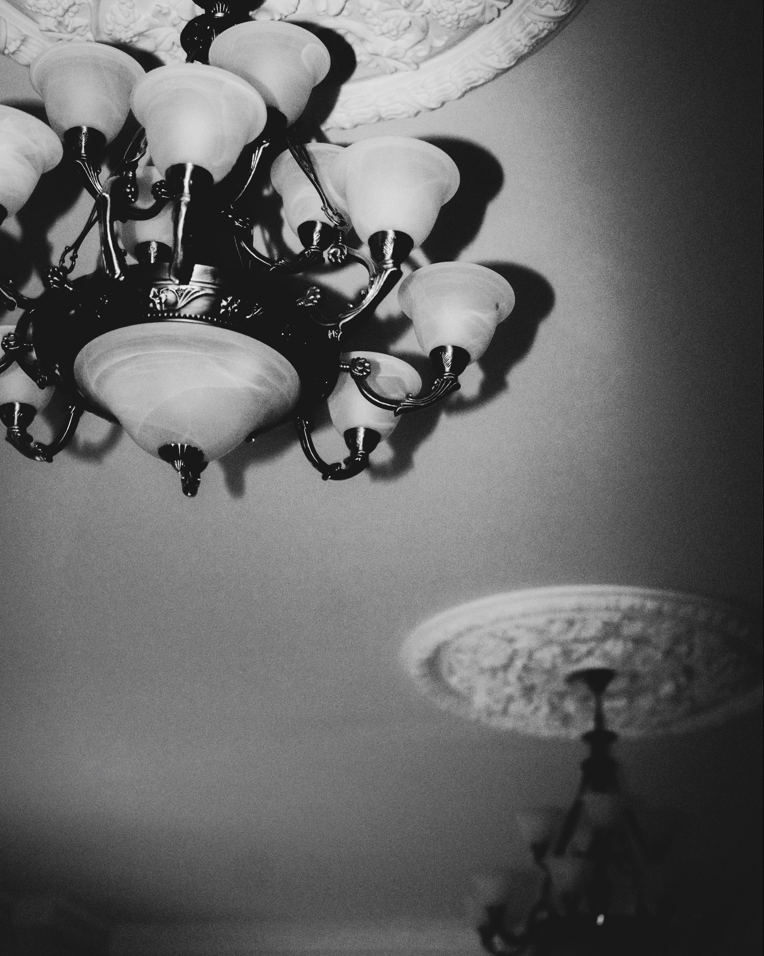 ТЮЗ. Veronika Popadeikina Photographer