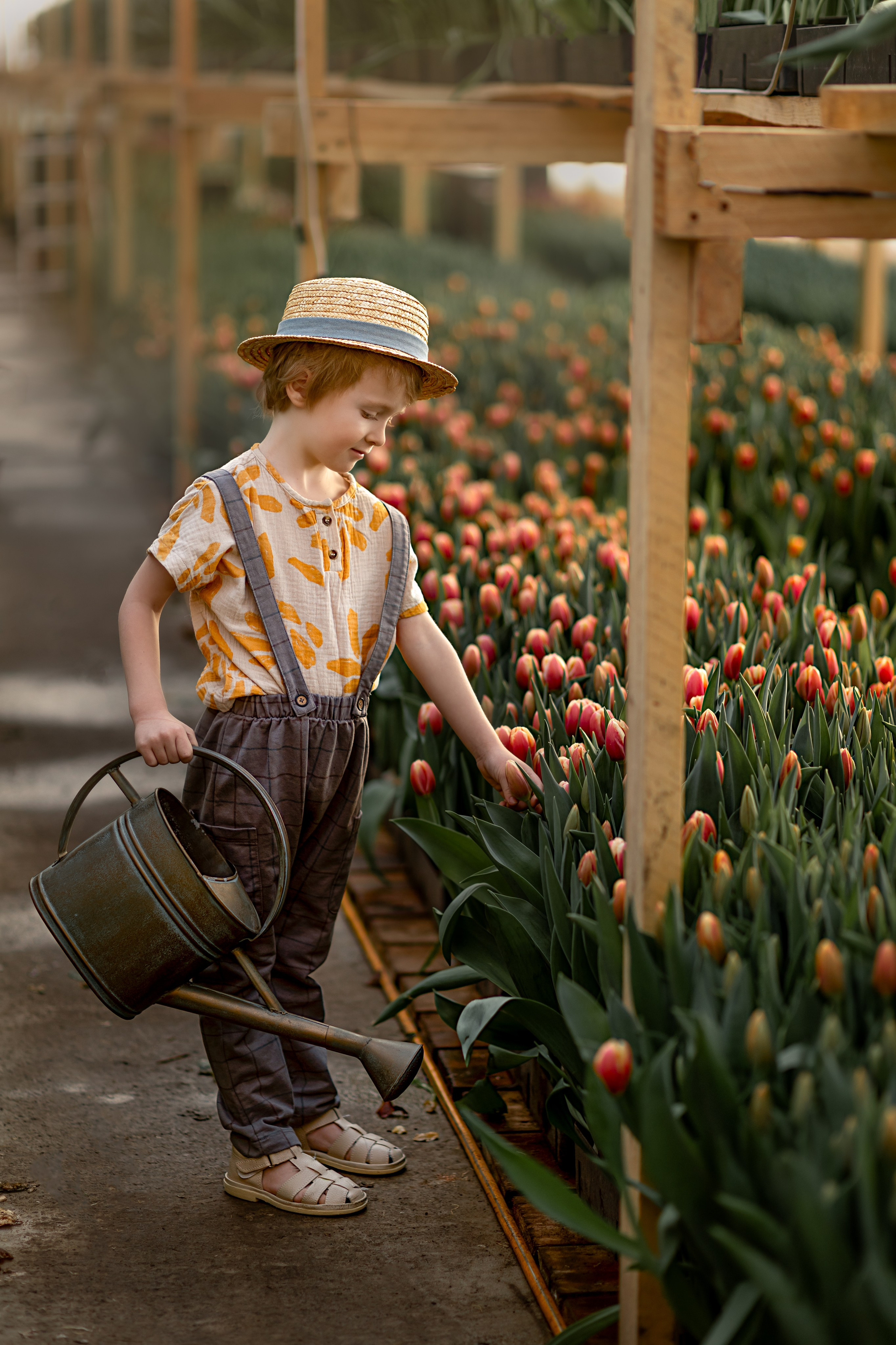 В теплице. Детский и семейный фотограф в Красноярске Елена Коровкина