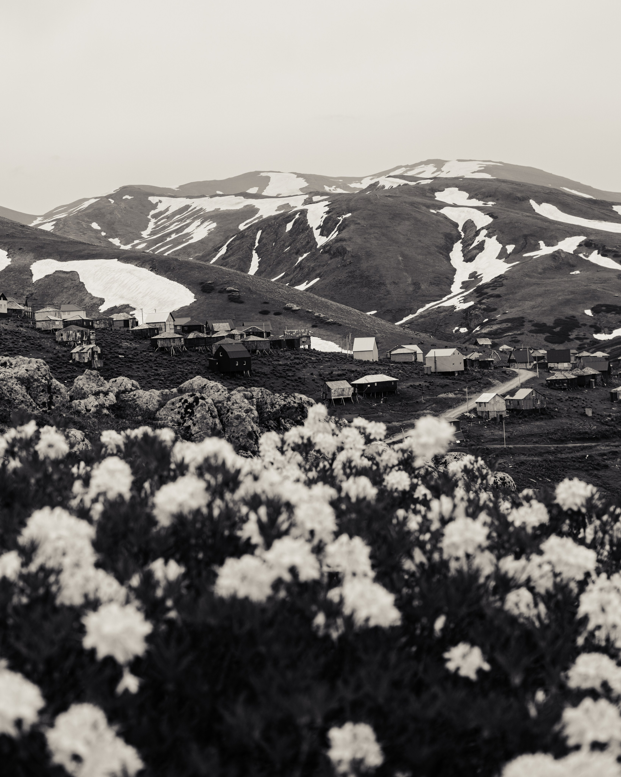 ГОМИС МТА. Photographer Barcelona