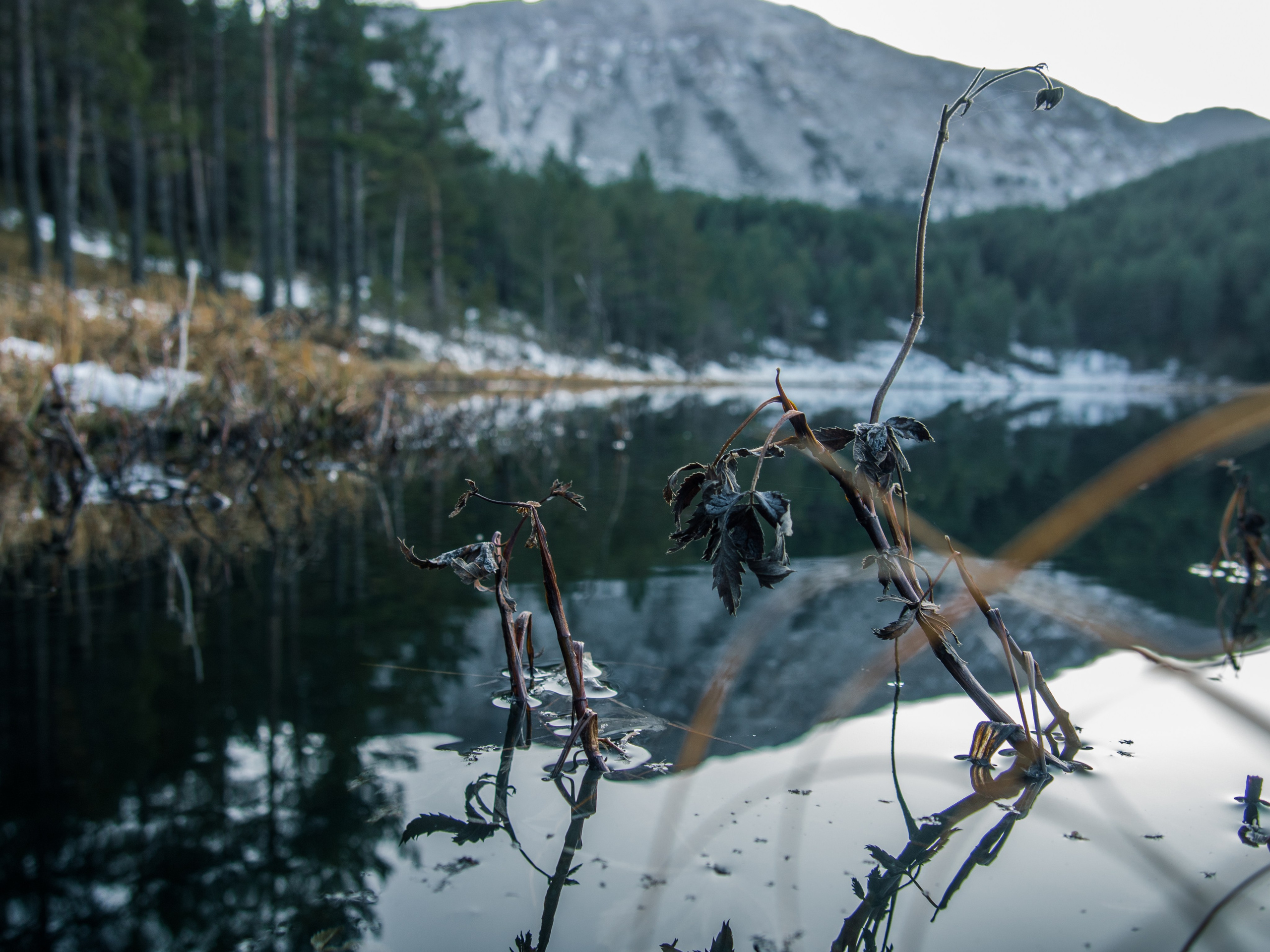 Пейзажи. Смотри, красота!