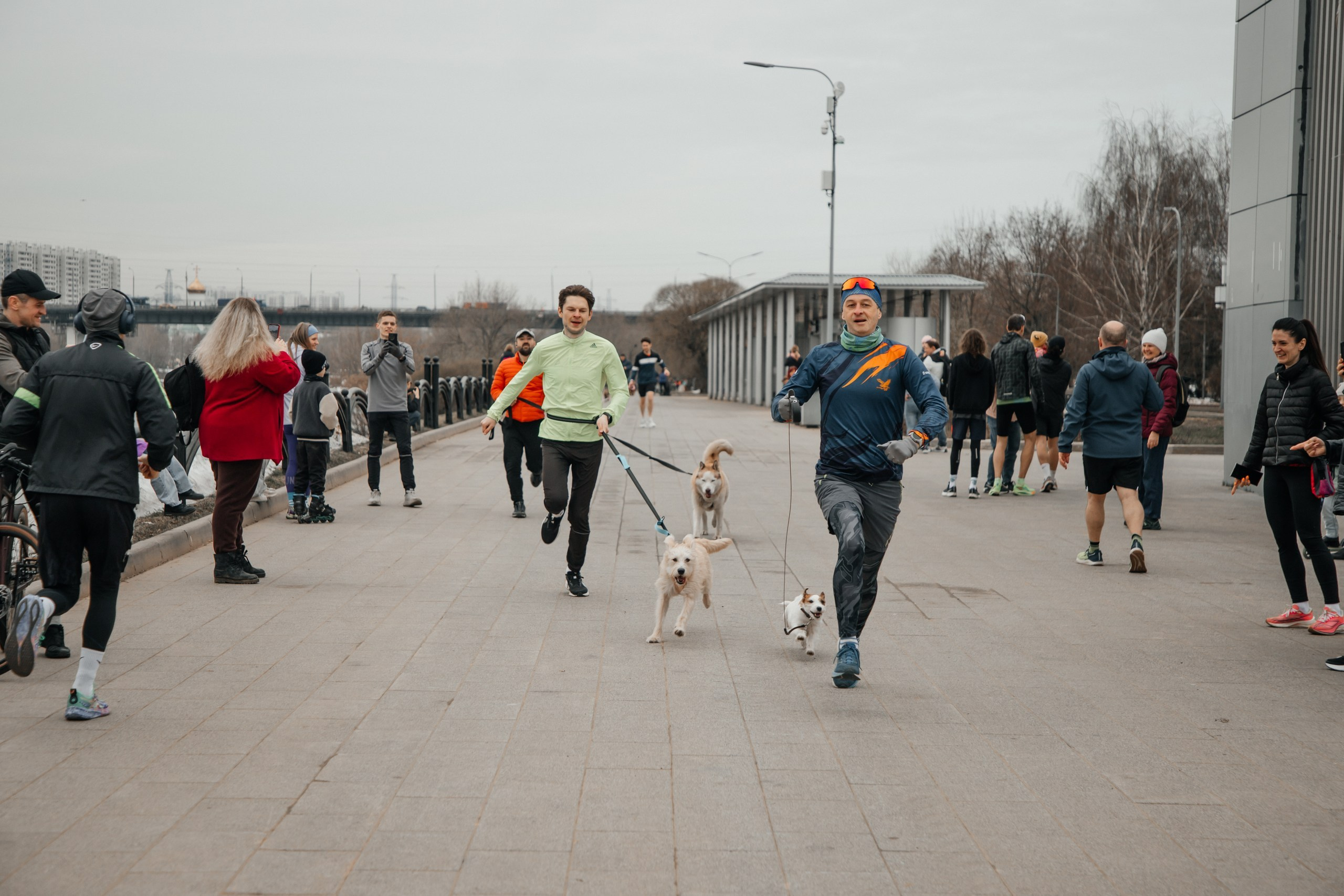 Кросс-пёс в Марьино 28.02.26. Фотограф КовалёваТатьяна | Москва | Краснодар |Сочи |Портрет, свадьбы, семейные съёмки