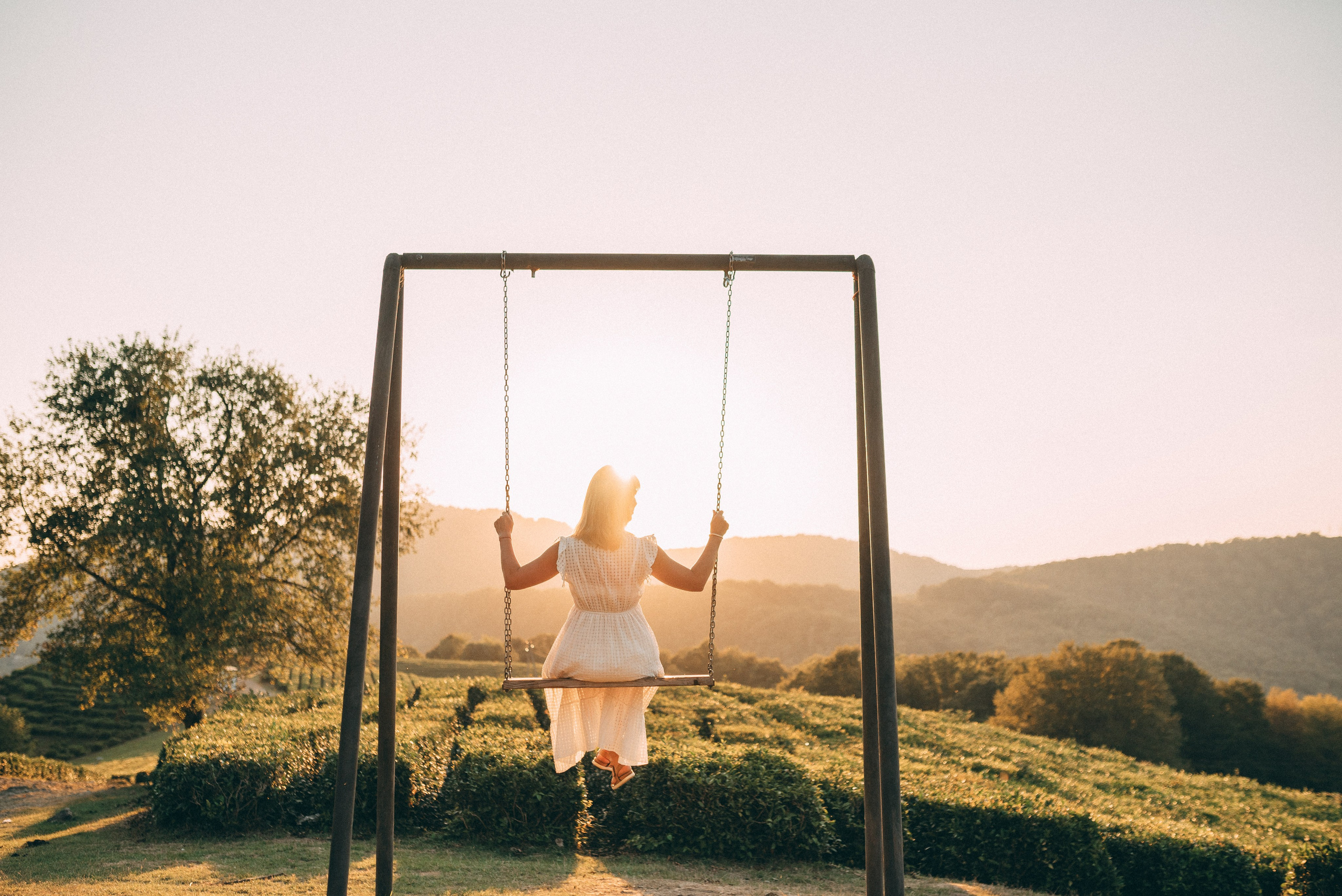 Чайные плантации 🌿✨. Фотограф в Сочи — Маргарита Поганова
