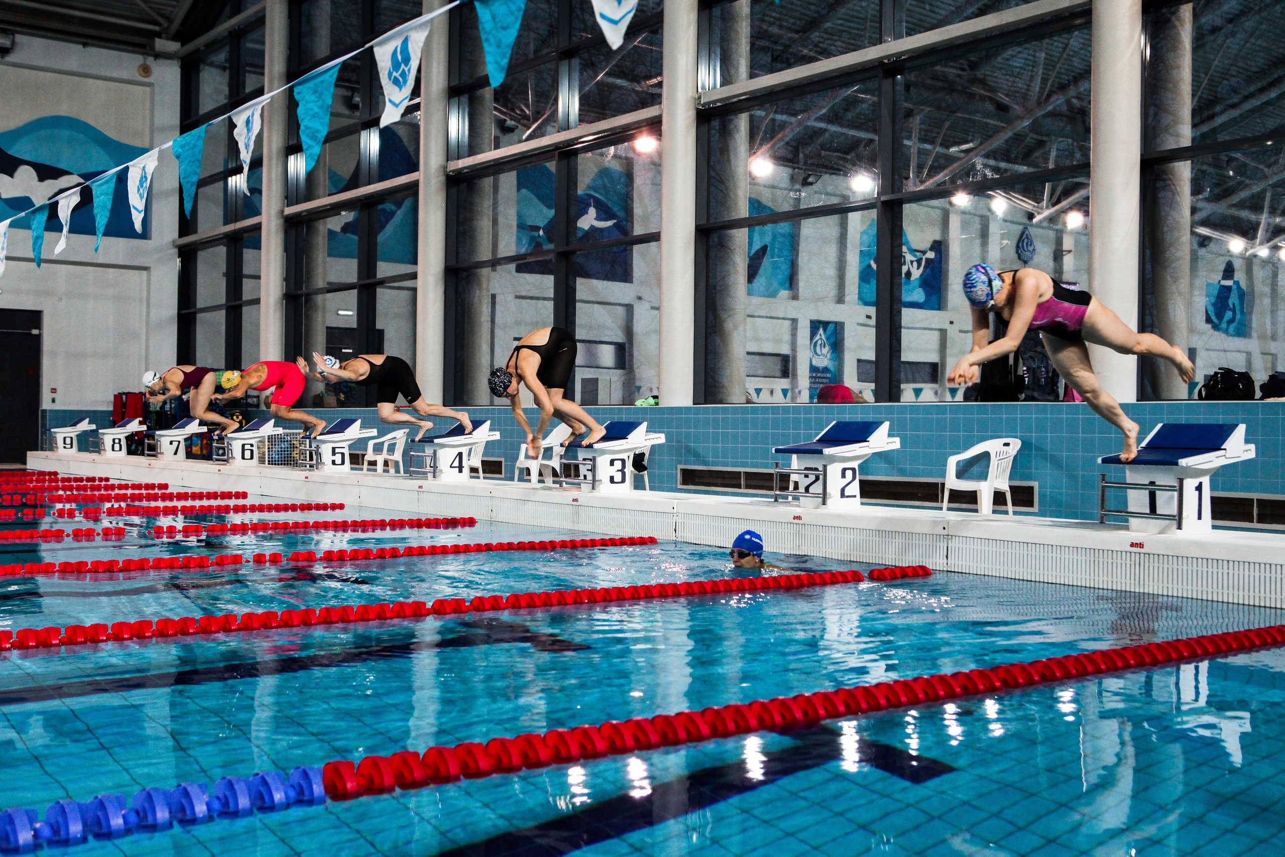 Соревнования по плаванию. Репортажный, семейный, свадебный, портретный фотограф