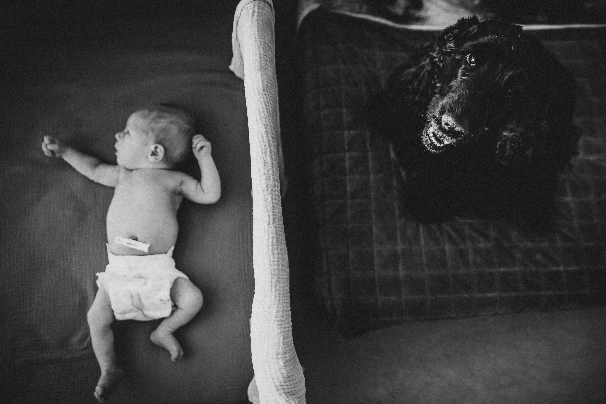 Семейные. Семейный фотограф и фотограф новорожденных в Санкт-Петербурге Алевтина