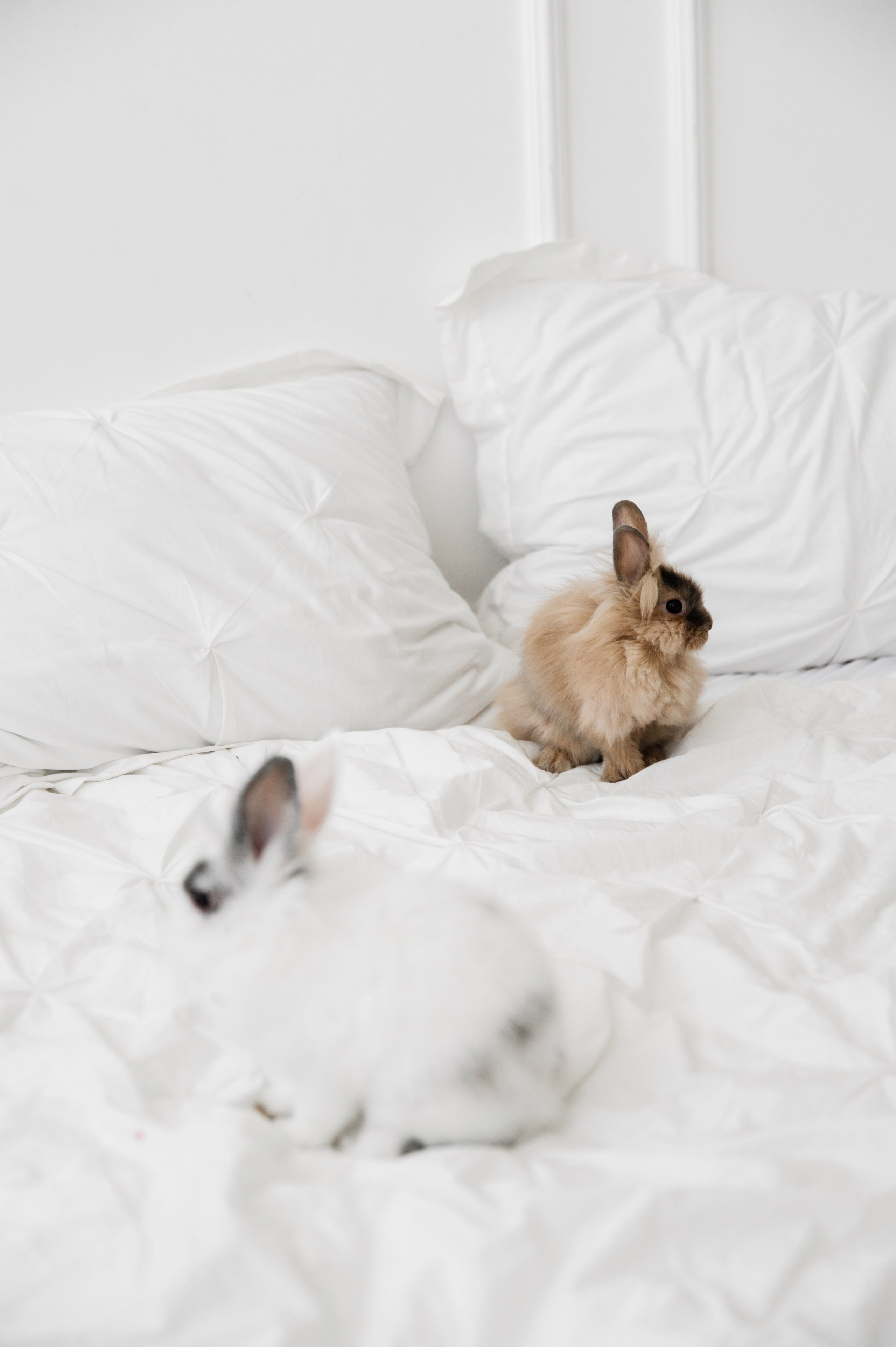 I&V. Фотограф Кирилл Верт