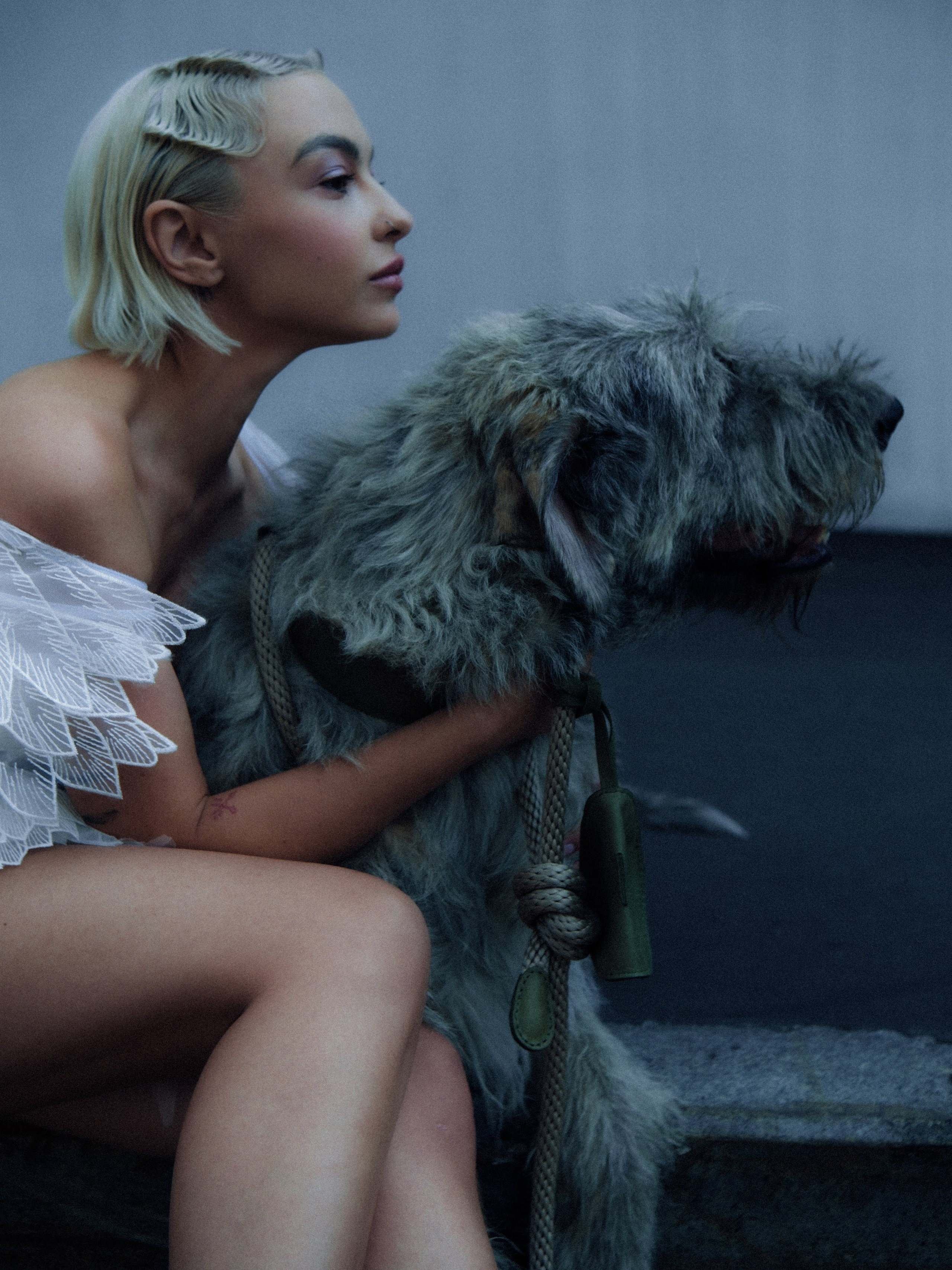 Dogbar. Dariaegudina.ru