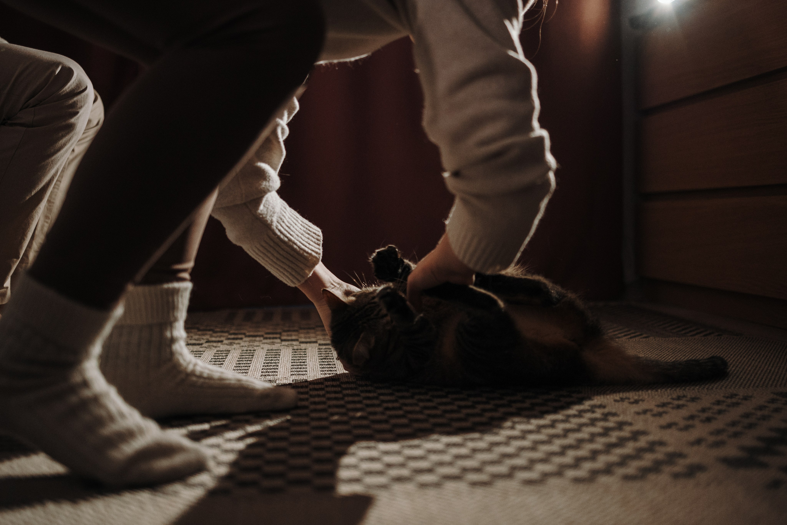 Мася и ее семья. Фотограф — Анималист | Санкт-Петербург