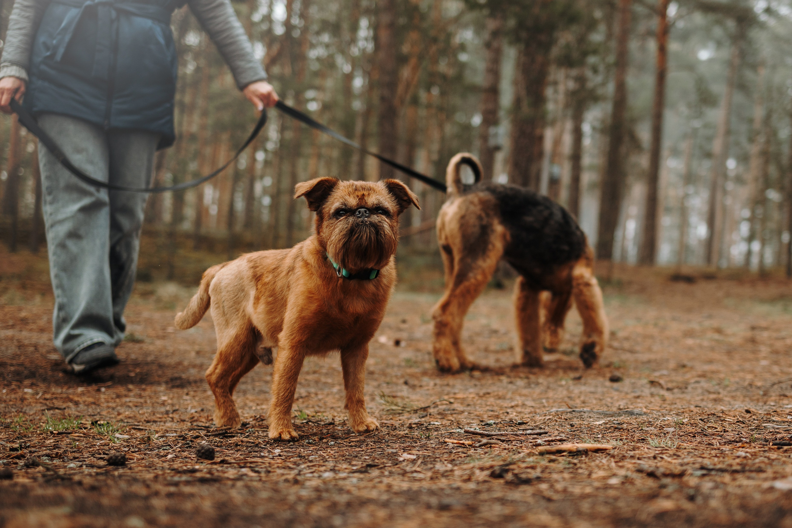 Вера и ее семья. Фотограф — Анималист | Санкт-Петербург