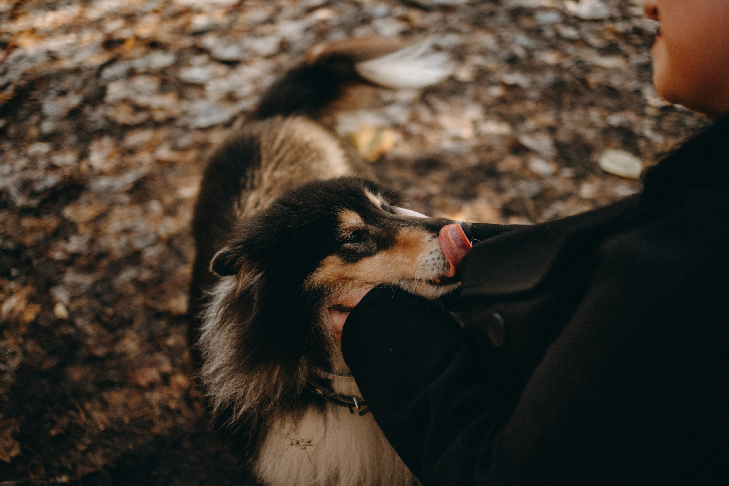 Ия и Барт. Фотограф — Анималист | Санкт-Петербург