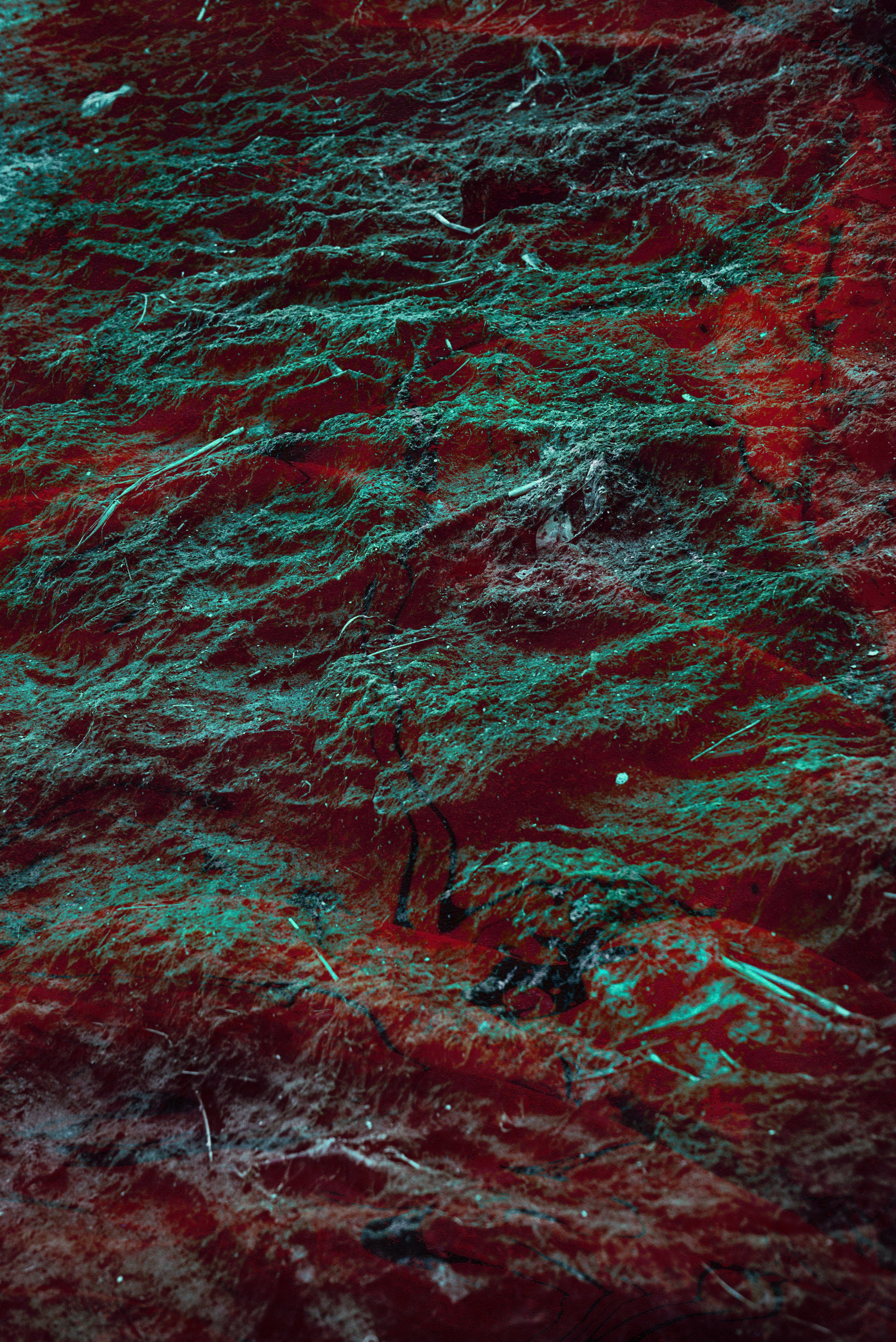 Абстрактный крупный план текстурированной поверхности в ярких красных и зеленых тонах, с замысловатыми узорами и природными элементами. Изображение вызывает ощущение глубины и движения, что делает его идеальным для художественных принтов и декора, вдохновленного органическими и динамичными текстурами. Идеально подходит для современных пространств, которые ценят смелую эстетику, основанную на природе.