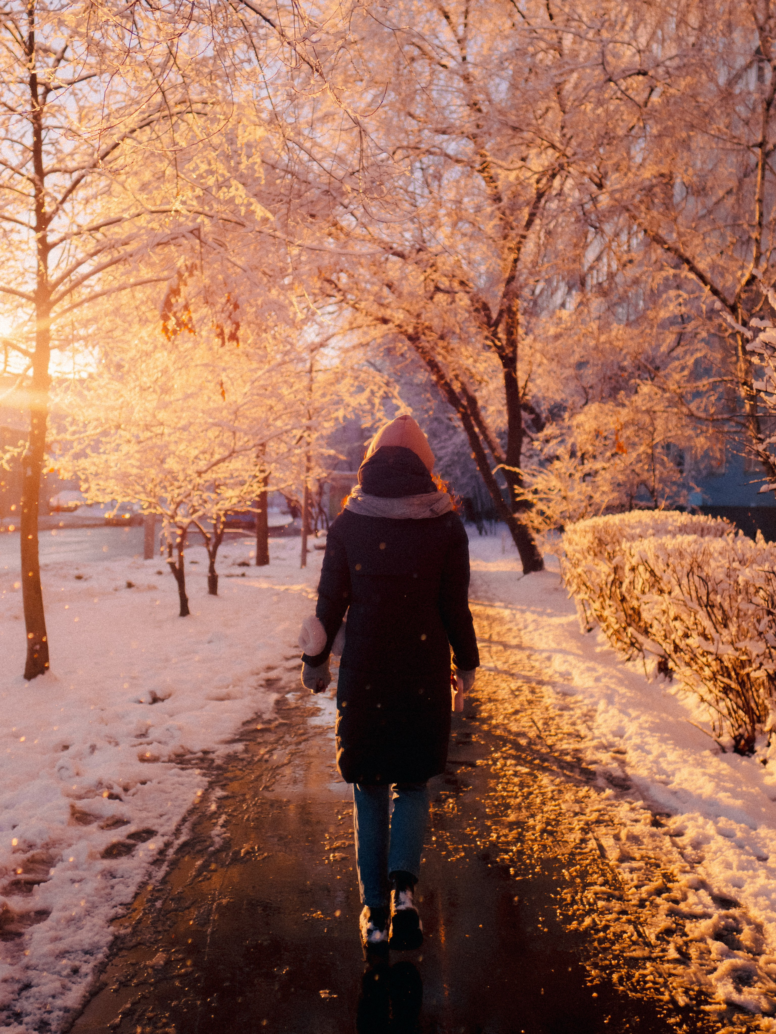 Зимняя сказка. Фёдор Малюгин. Ваш бади в визуале
