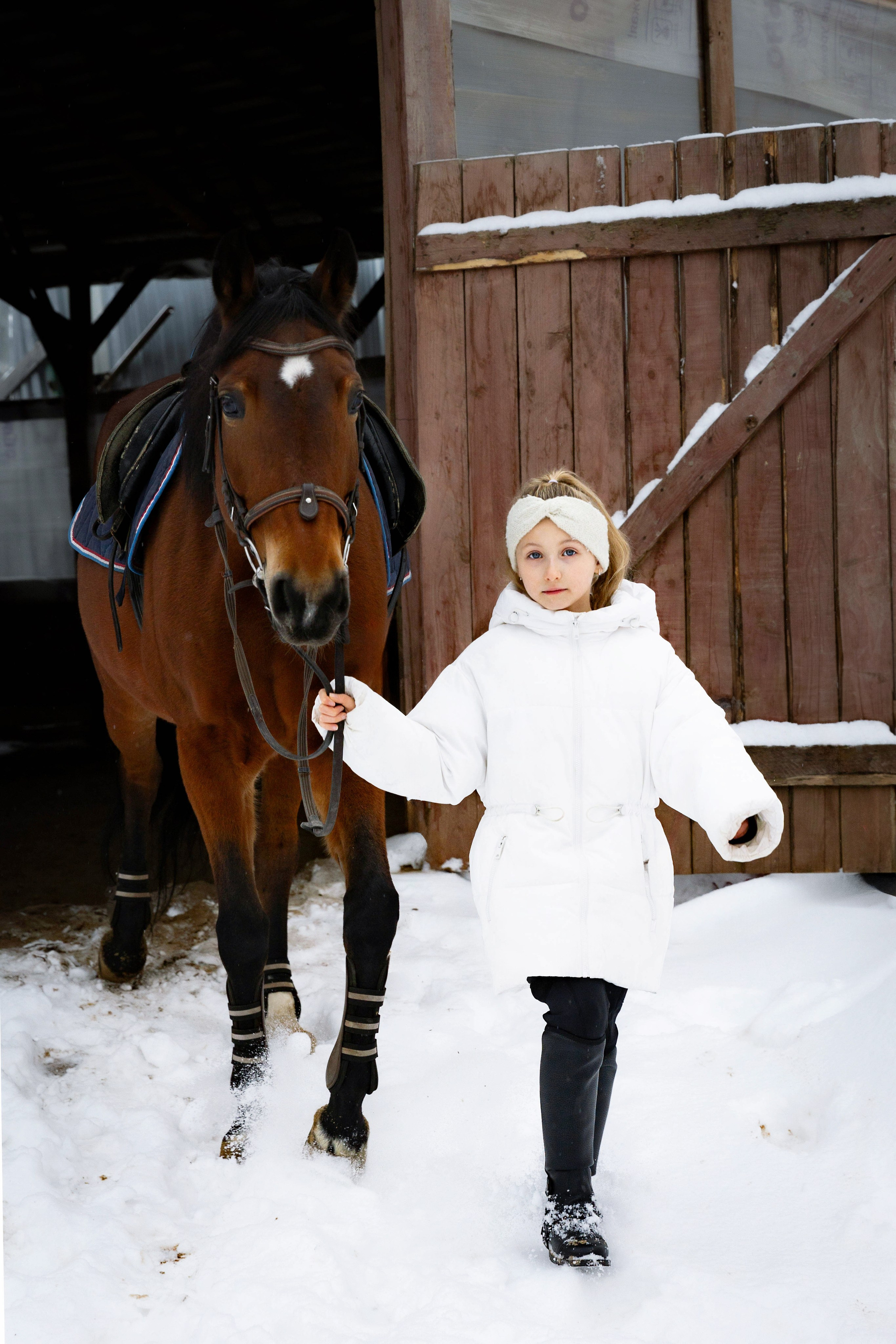 Лошади. Ваш фотограф в Москве и области Юлия