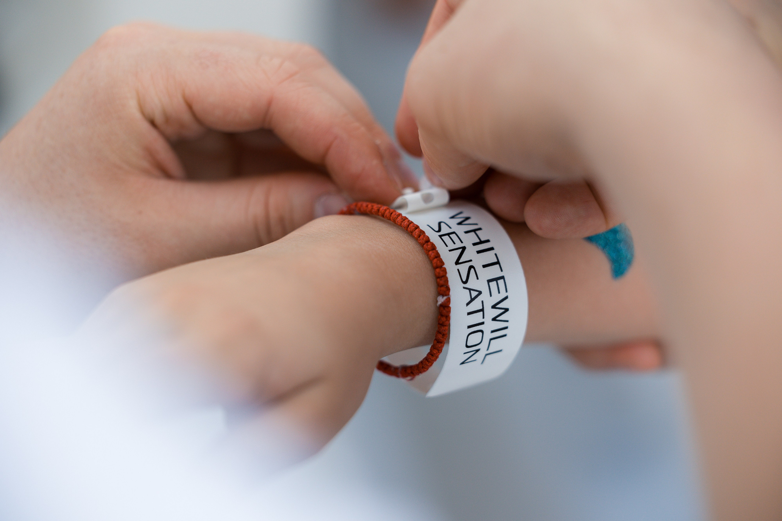 Whitewill Sensation. Фотограф Юлия Назарова