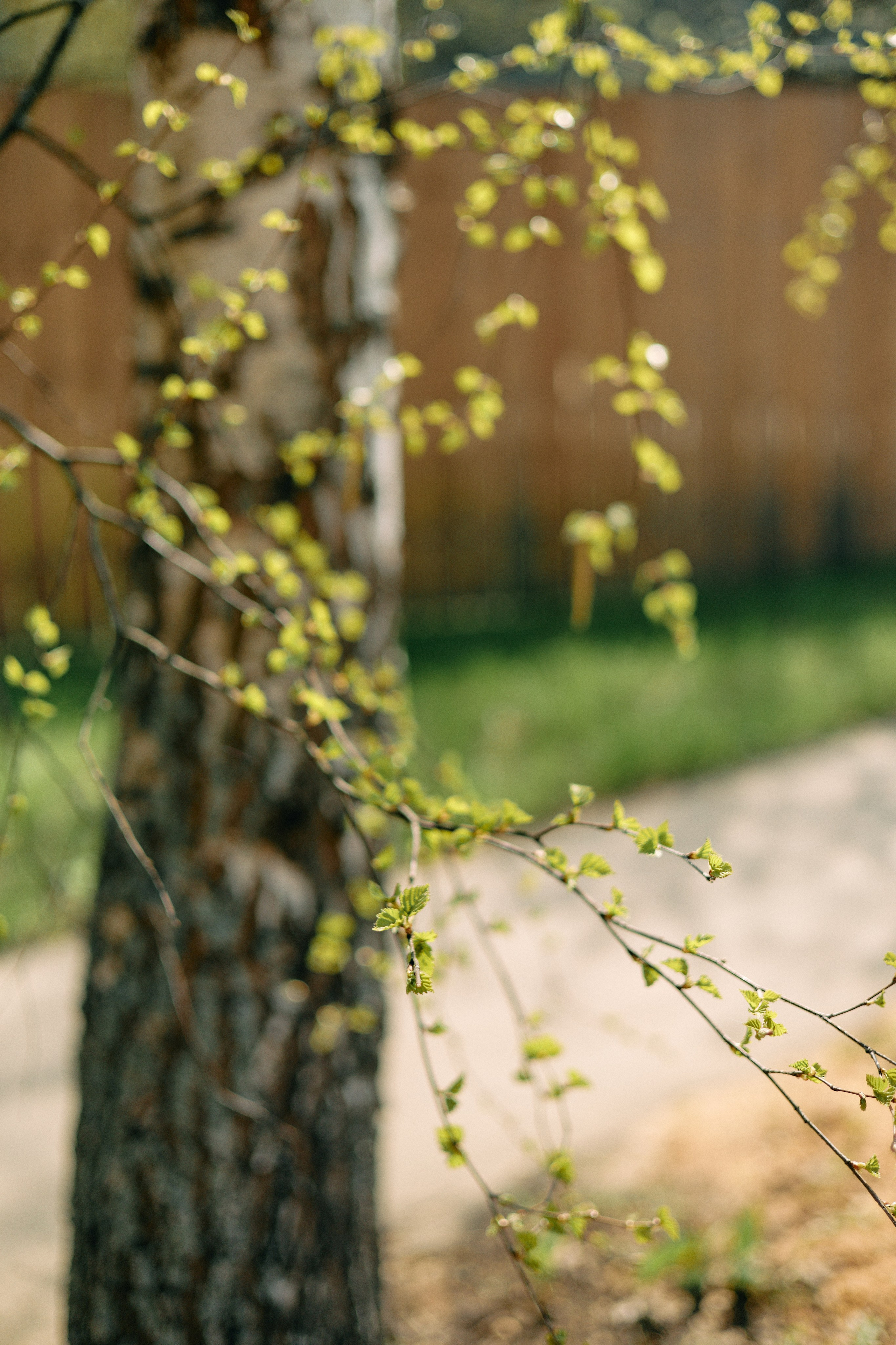 Бутик-отель Поле летом. Профессиональный Фотограф во Владимире, в Москве и в Суздале — Полина Романычева