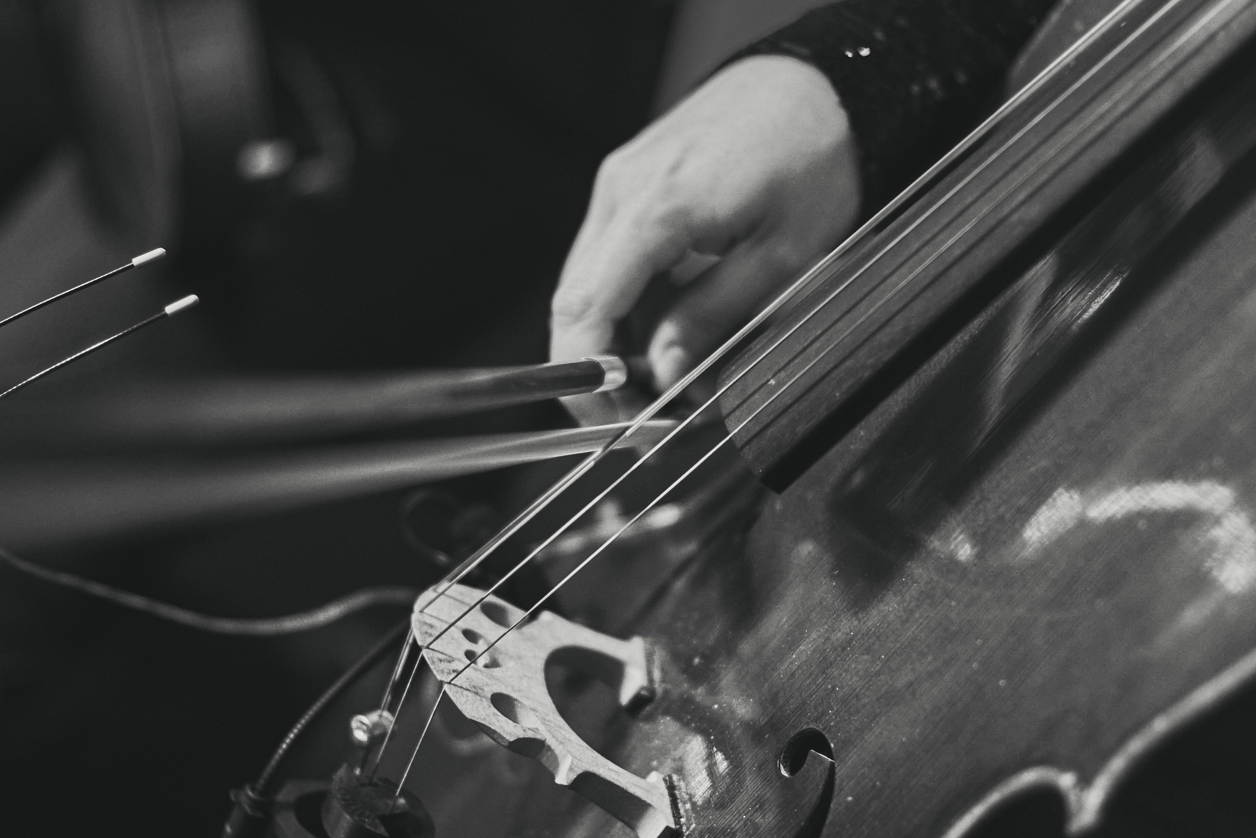 «Я вижу звезды» (второй показ)