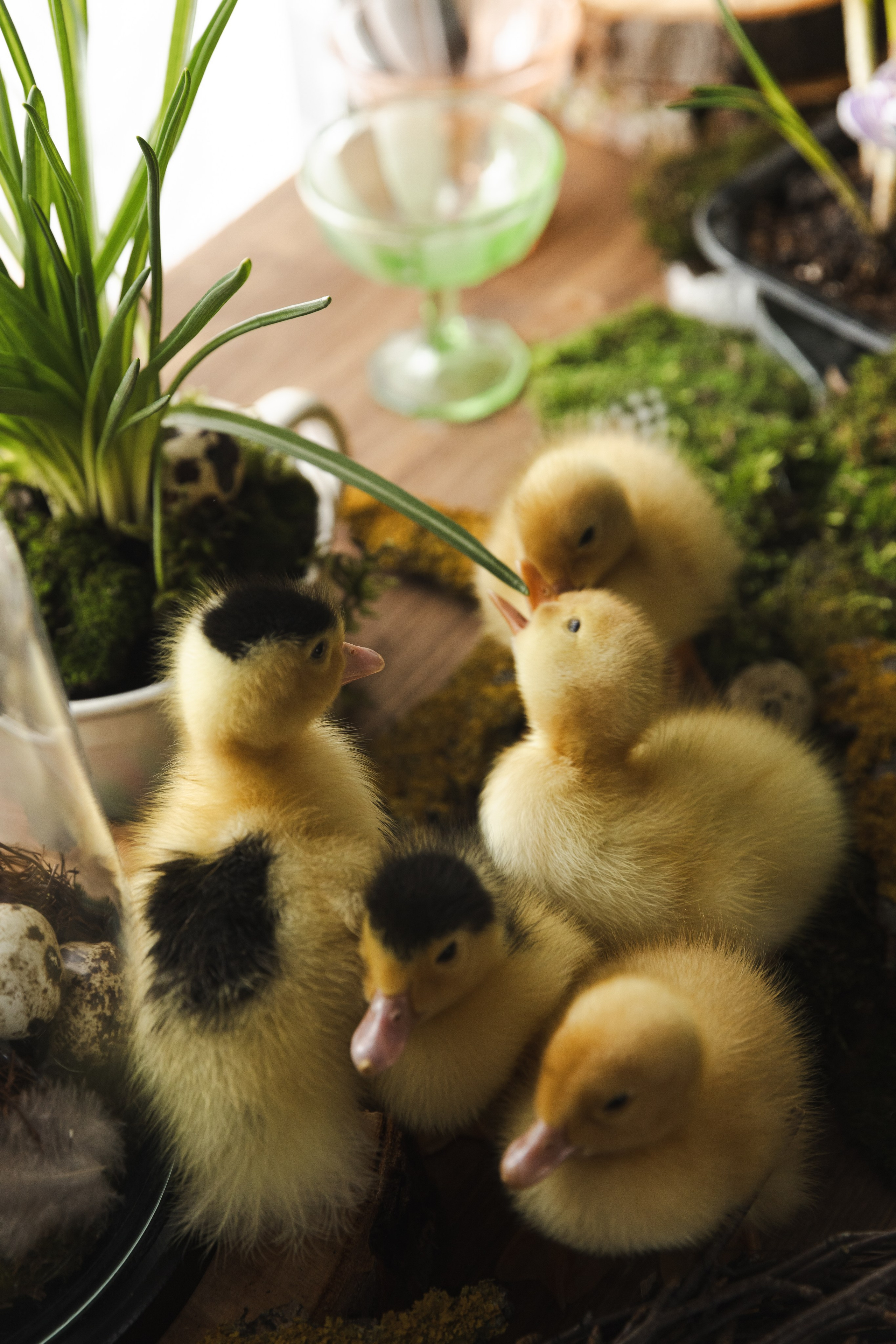 Пасха. Женский и семейный фотограф в Туле Катя Вуколова