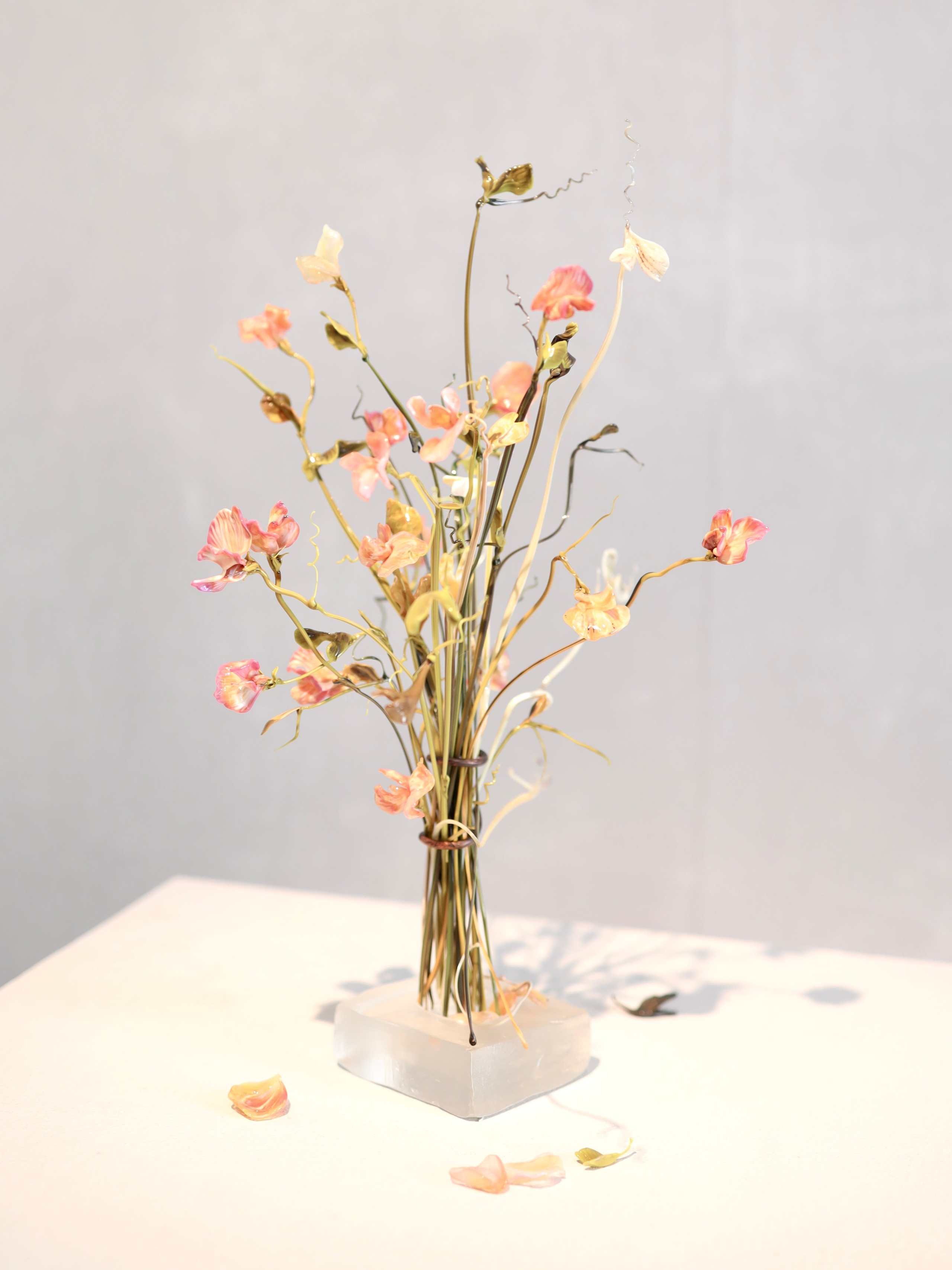 Выставка Степени прозрачности. Фотосессии и репортаж — Фотограф в Москве — Рина Серёгина