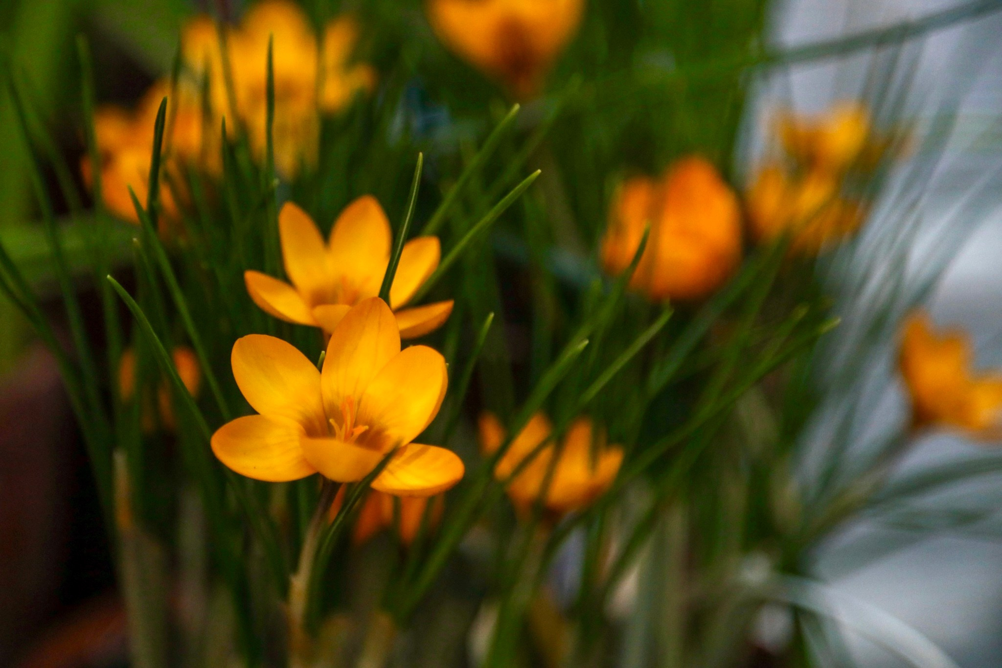 Фотографии с выставки Репетиция весны. Фотосессии и репортаж — Фотограф в Москве — Рина Серёгина