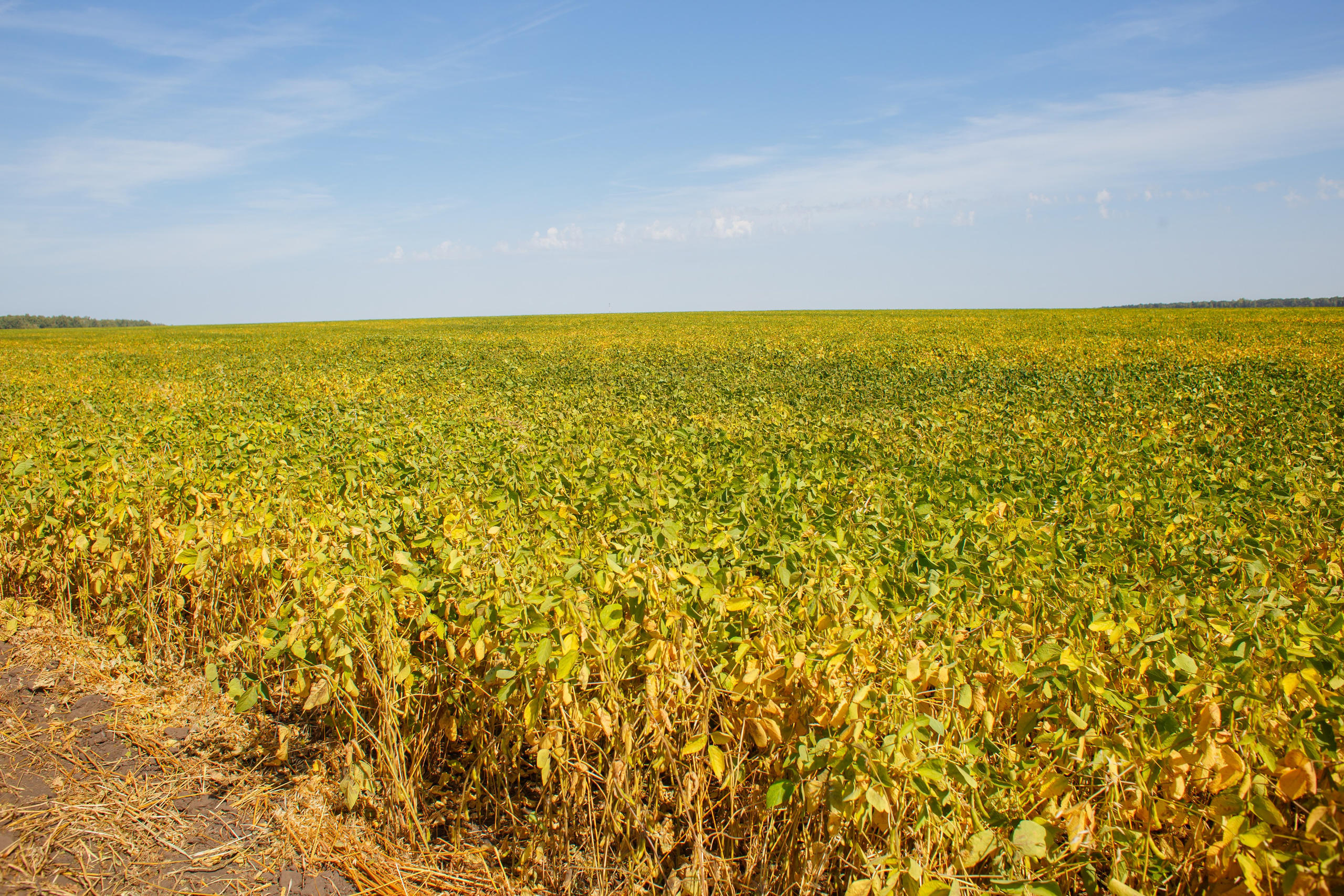 Агротерра. Фотограф Яков Поспехов