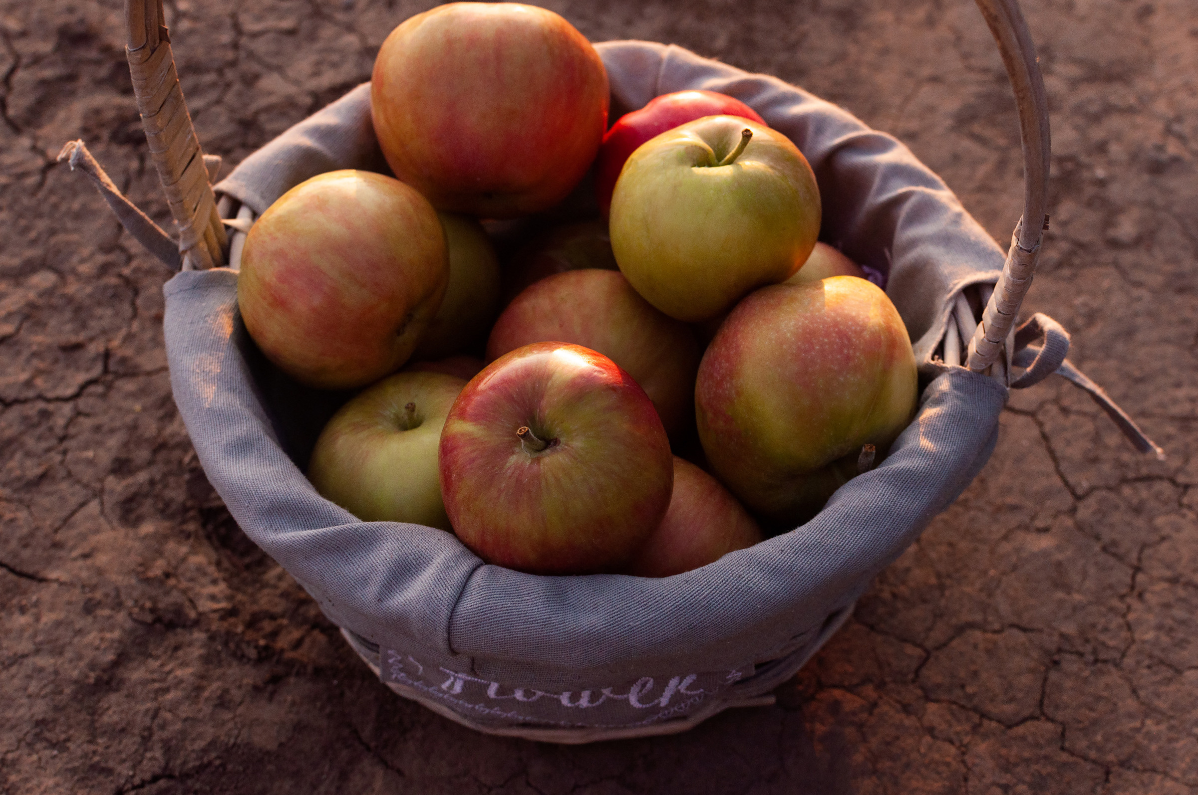 Love day. Свадебный фотограф Волгоград Роман Брызгалин и Натали Никитина
