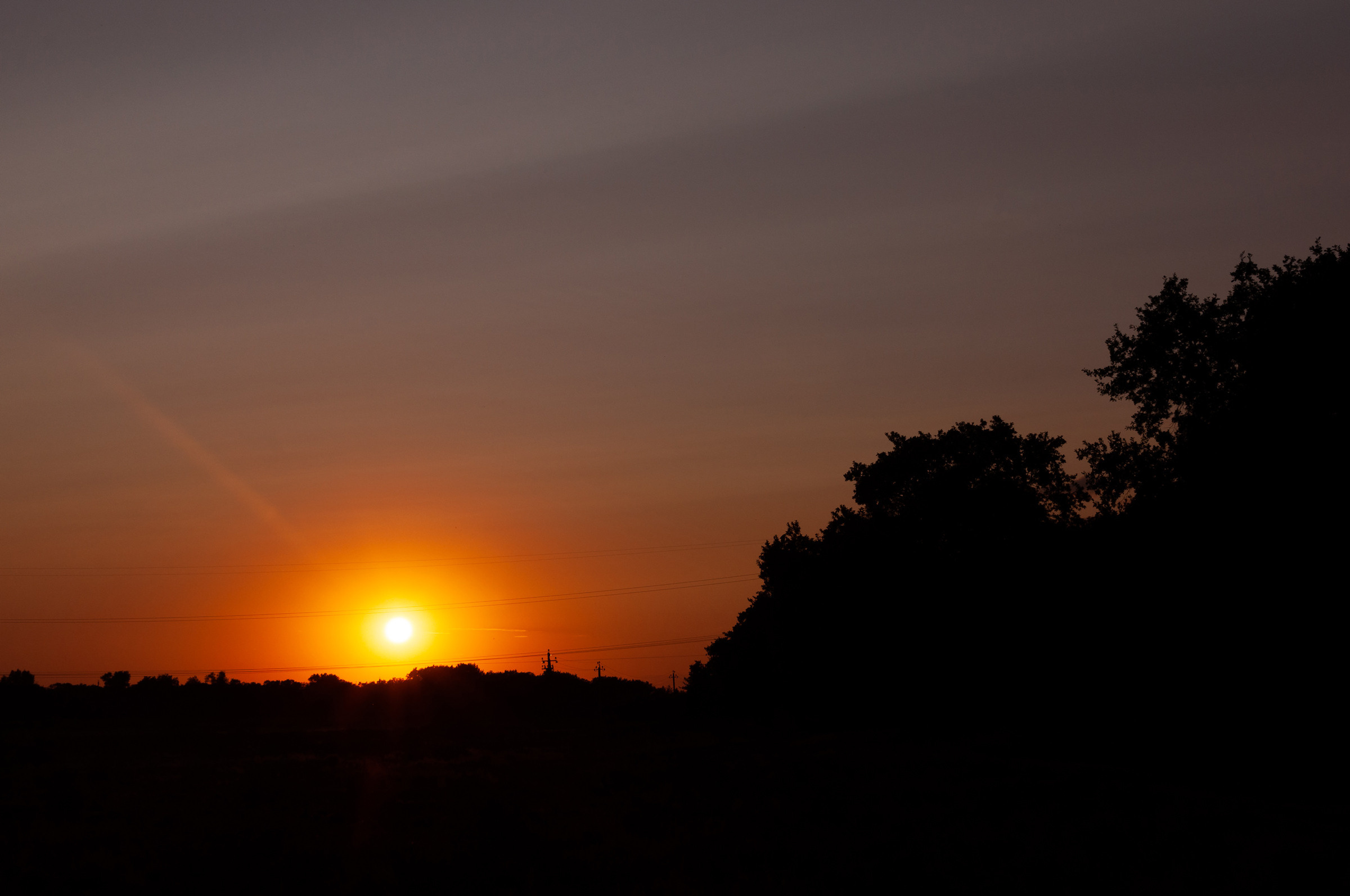 Love day. Свадебный фотограф Волгоград Роман Брызгалин и Натали Никитина