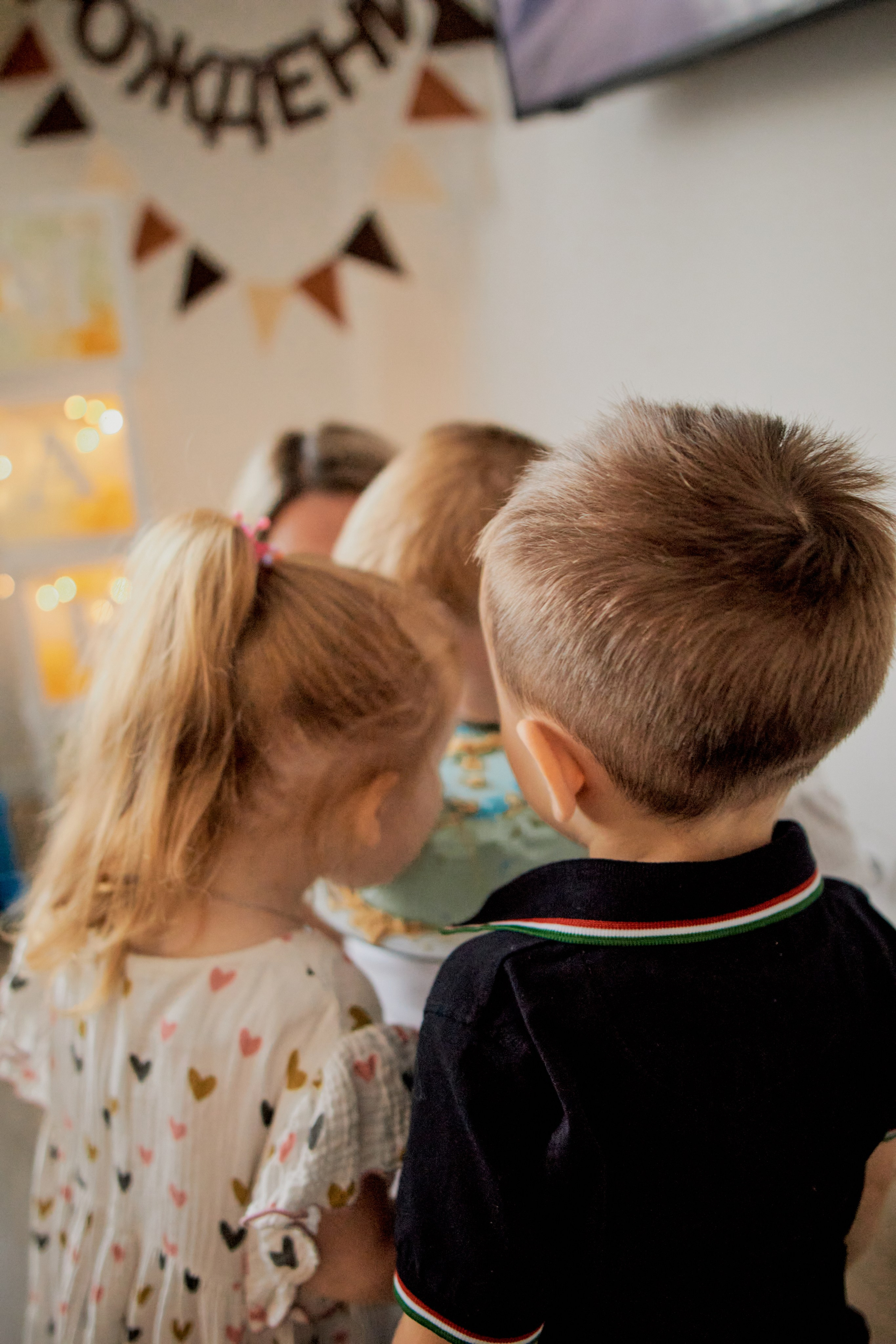 Три кота. Фотограф Москва