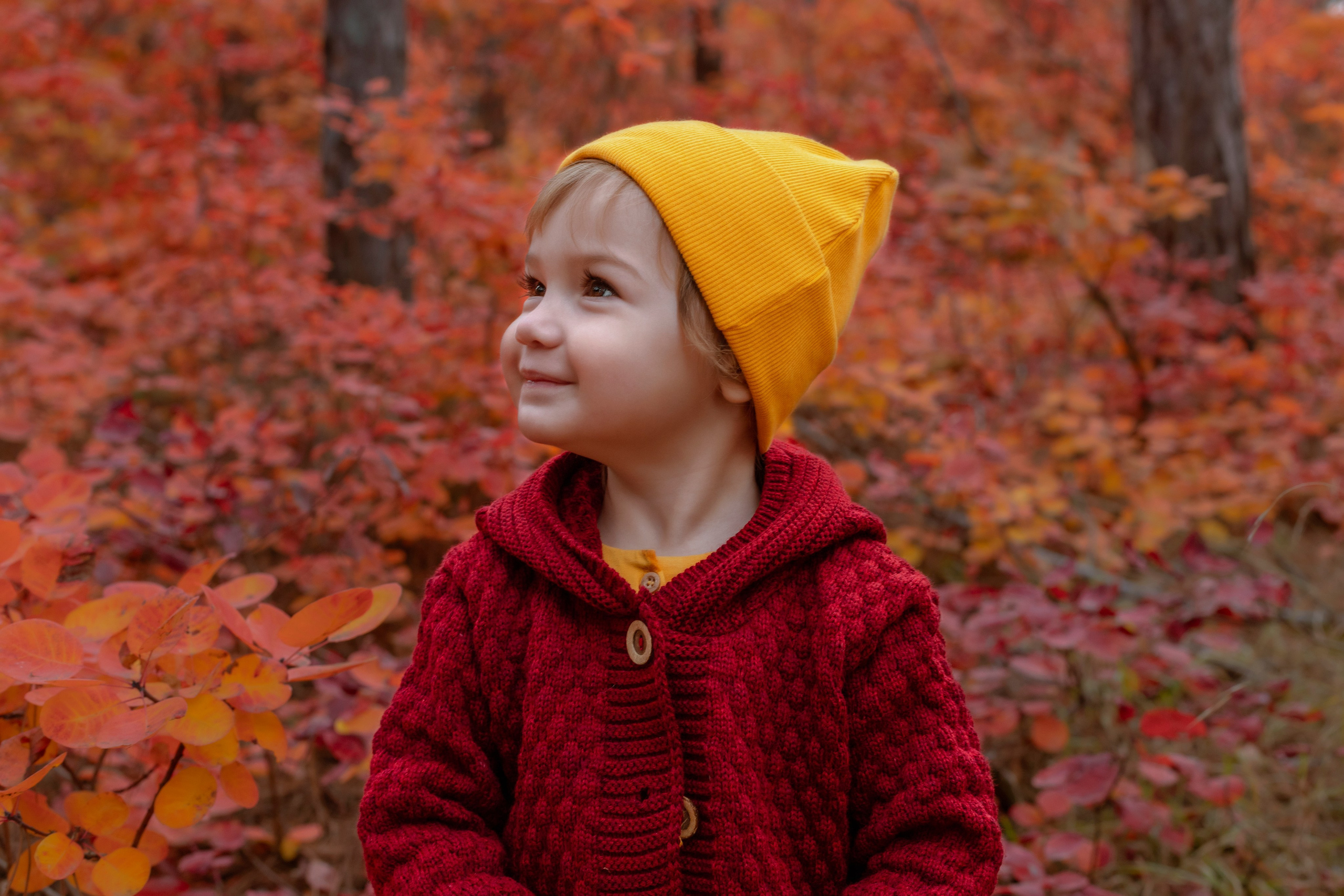ОСЕННИЙ ЛЕС. Семейный и детский фотограф в Крыму Екатерина Швец