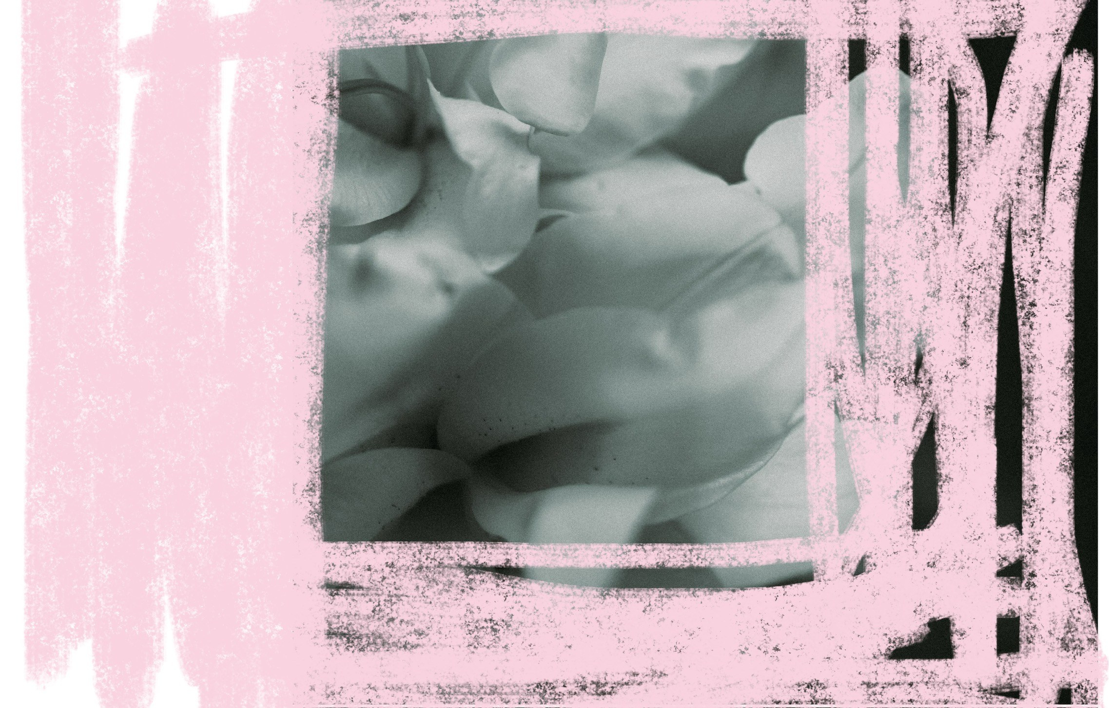 Картинки с каракулями. Саша Кушнерова Фотографии. Sasha Kushnerova Photos