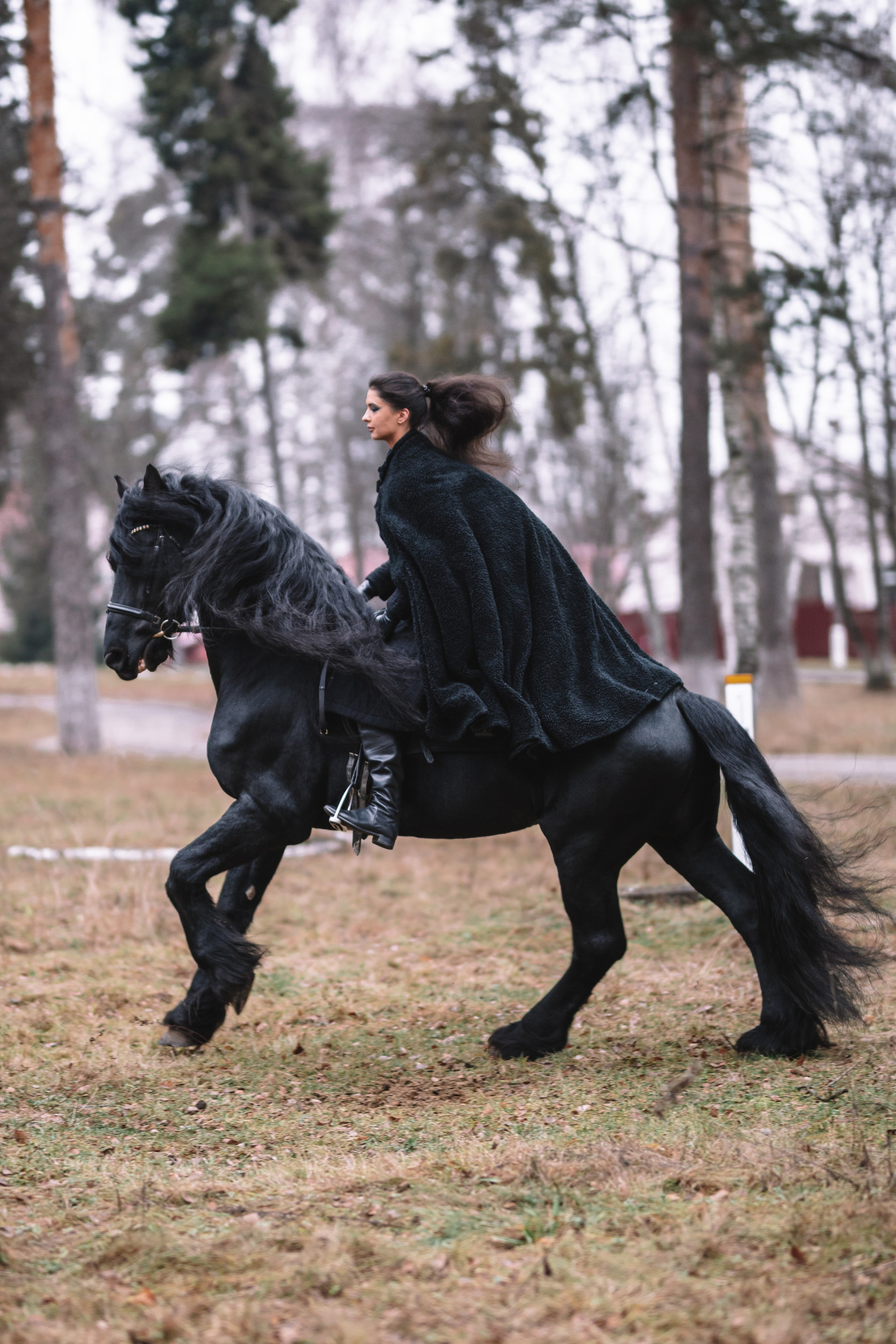 Наташа с фризом в костюме викинга. Фотосессии с лошадьми