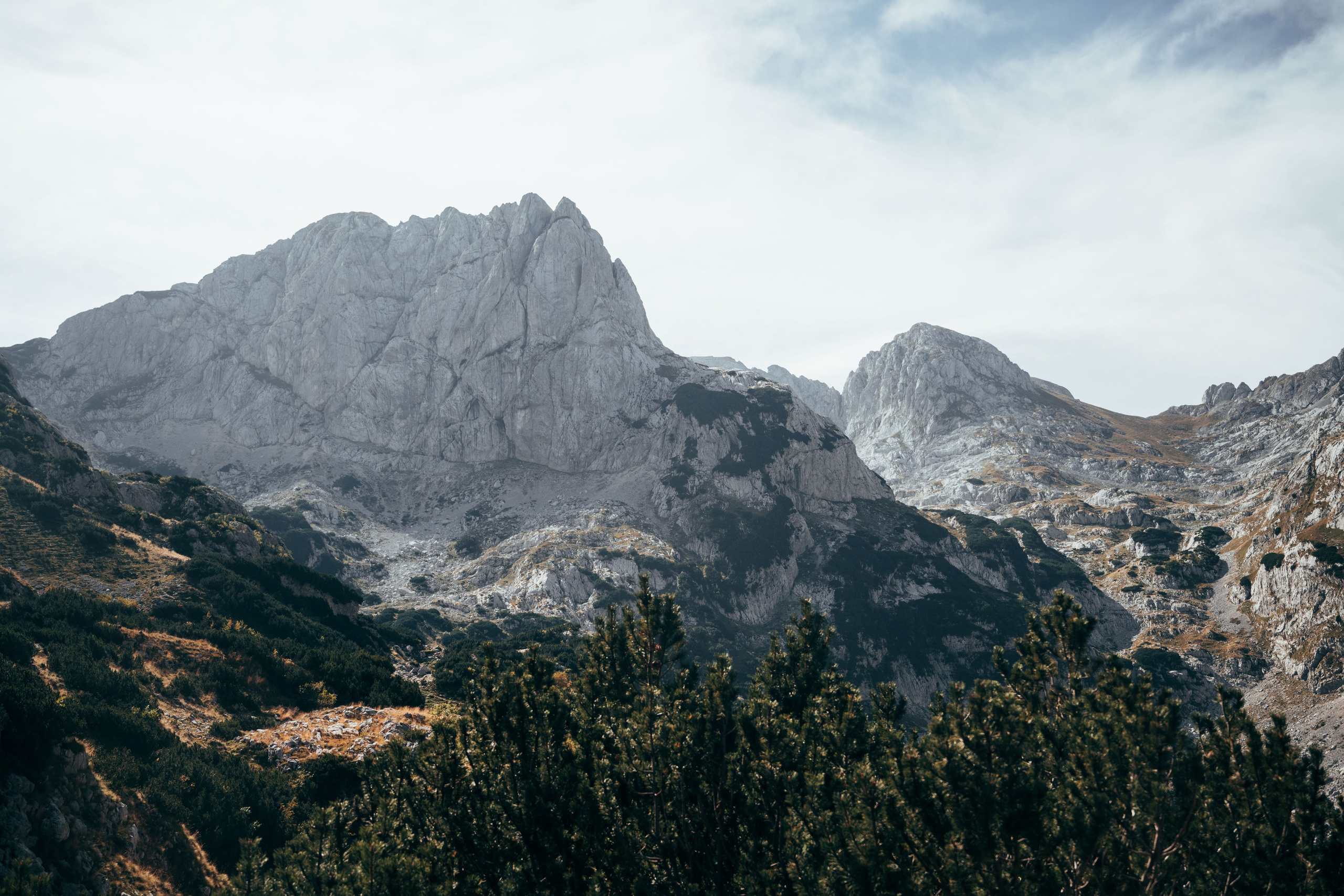 ДОЛИНА ЛОКВИЦЕ. ЧЕРНОГОРИЯ. Фотограф в Белграде Чугреева Елена