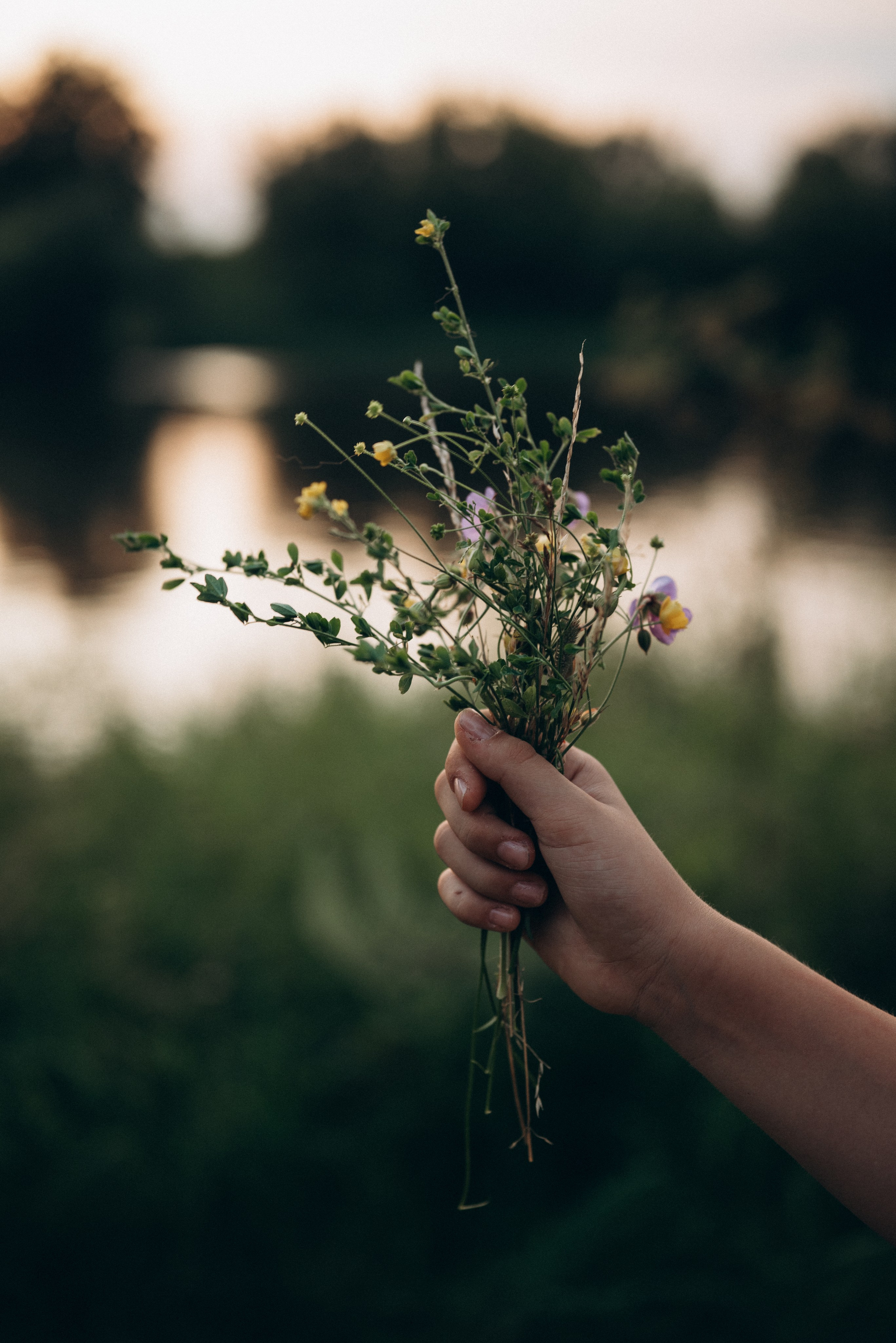 Игры на закате. Семейный фотограф в Москве Дарья Пузикова