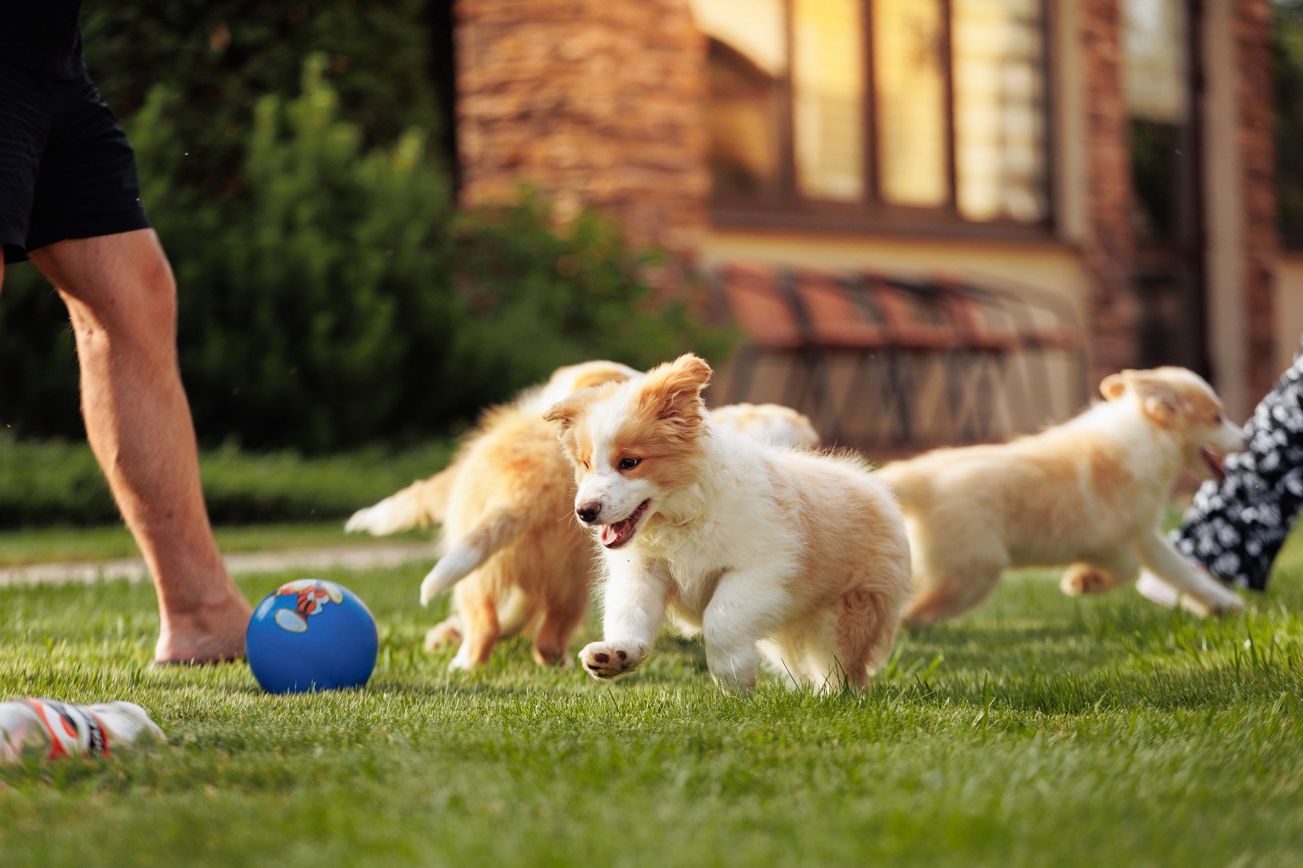 СОлнечные. О нас