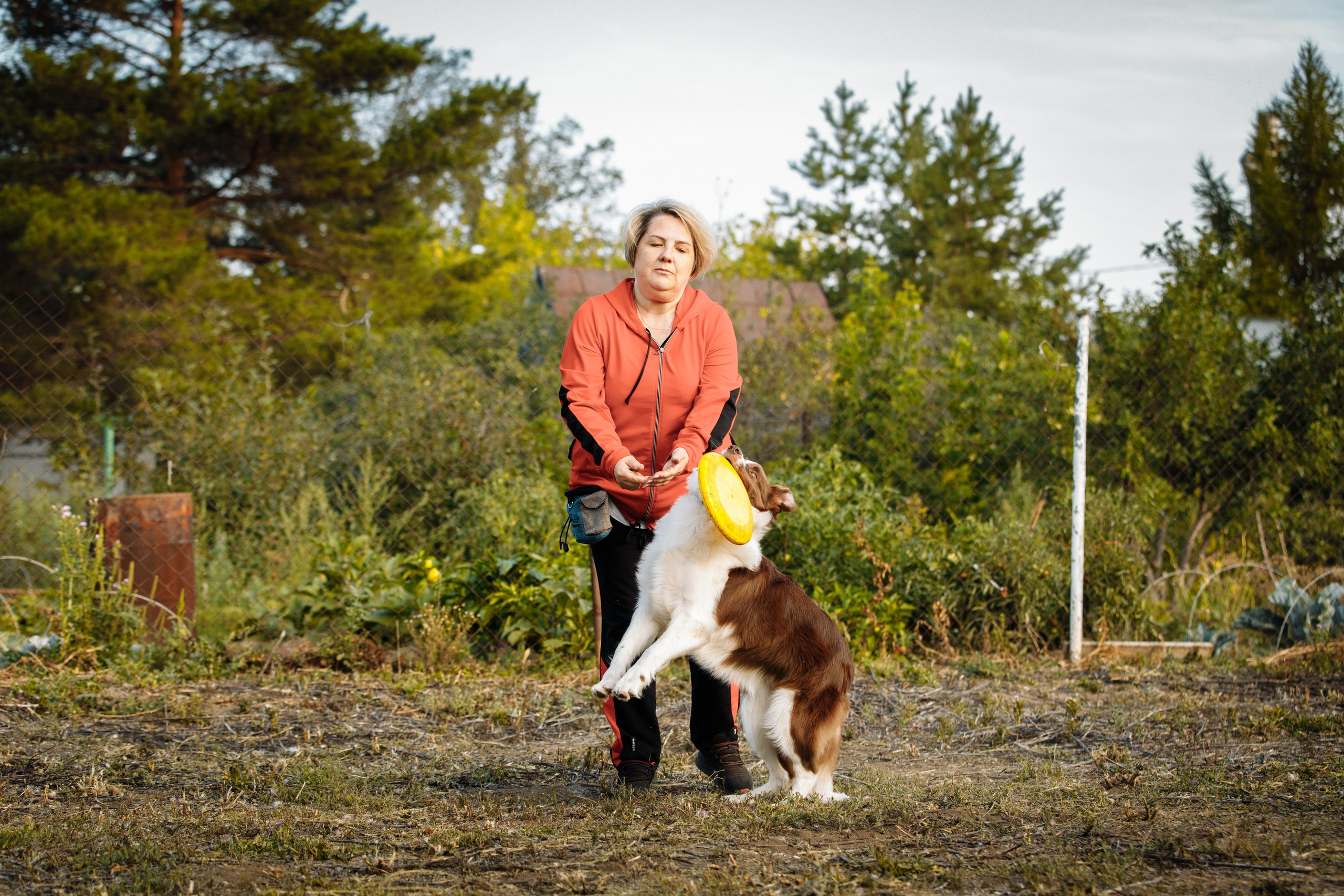 Овечий день. О нас